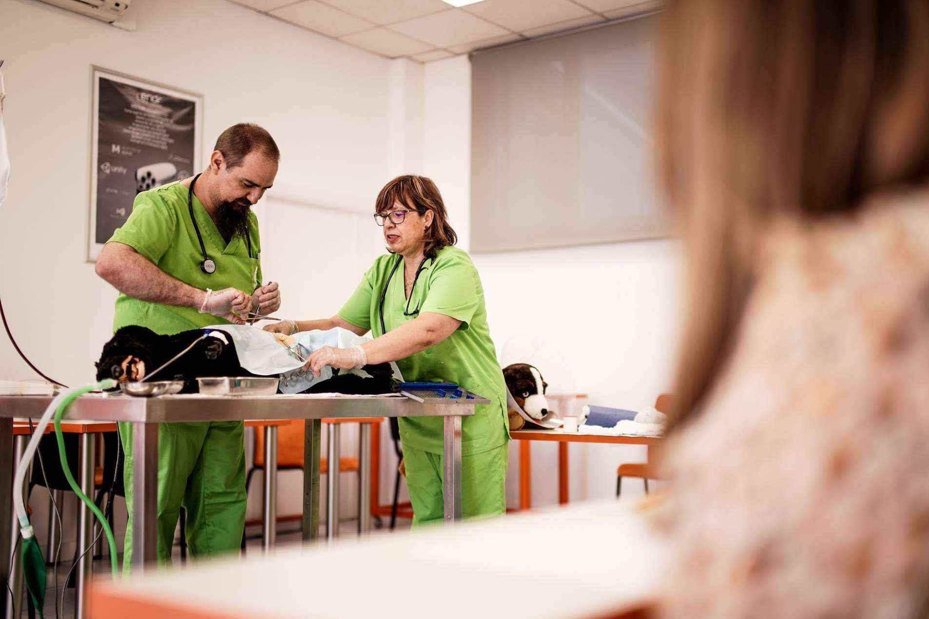 MasterD ofrece un amplio catálogo de cursos de veterinaria online y semipresencial