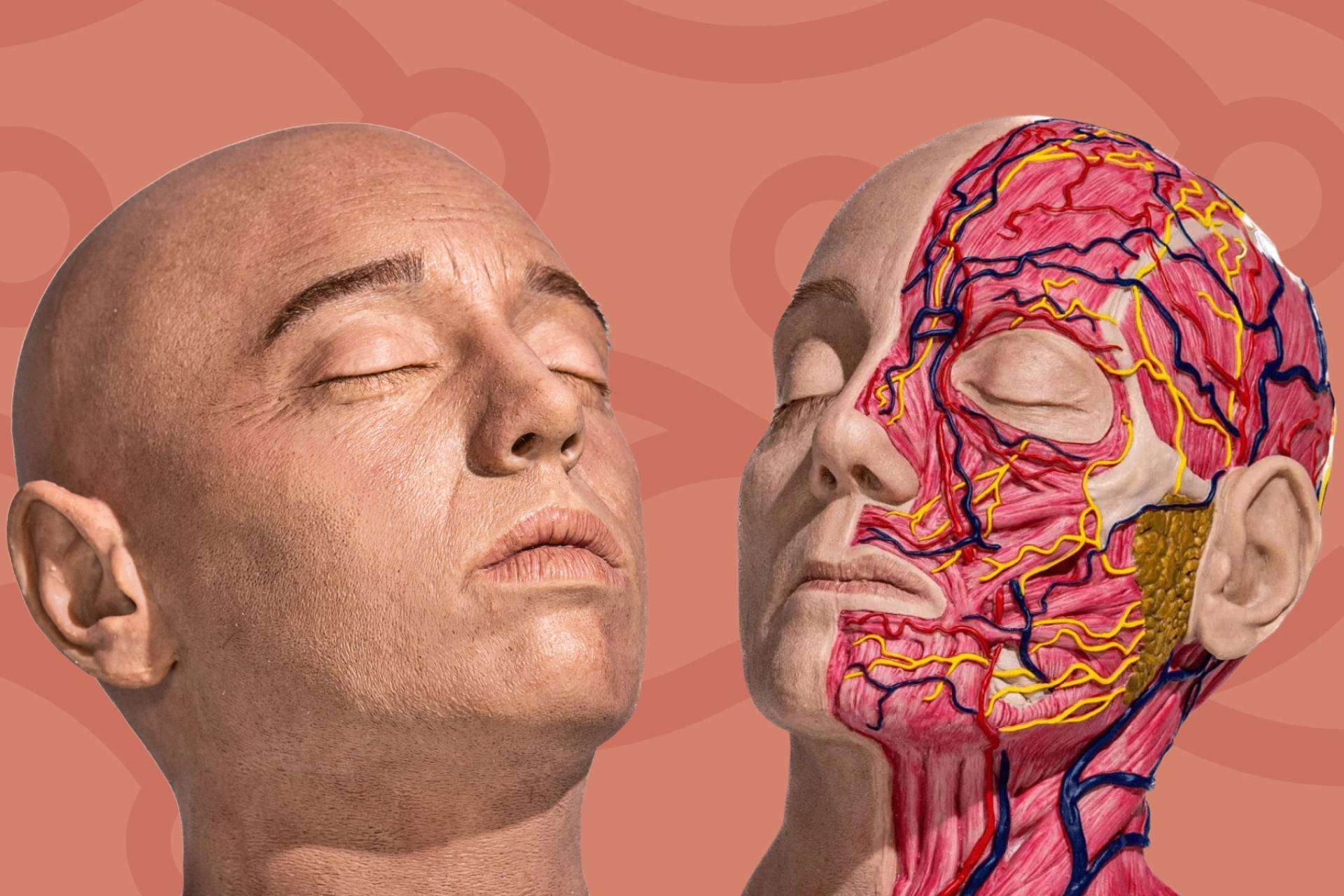 REALMED SIMULATORS, la compañía malagueña que mejora la formación médica estética globalmente