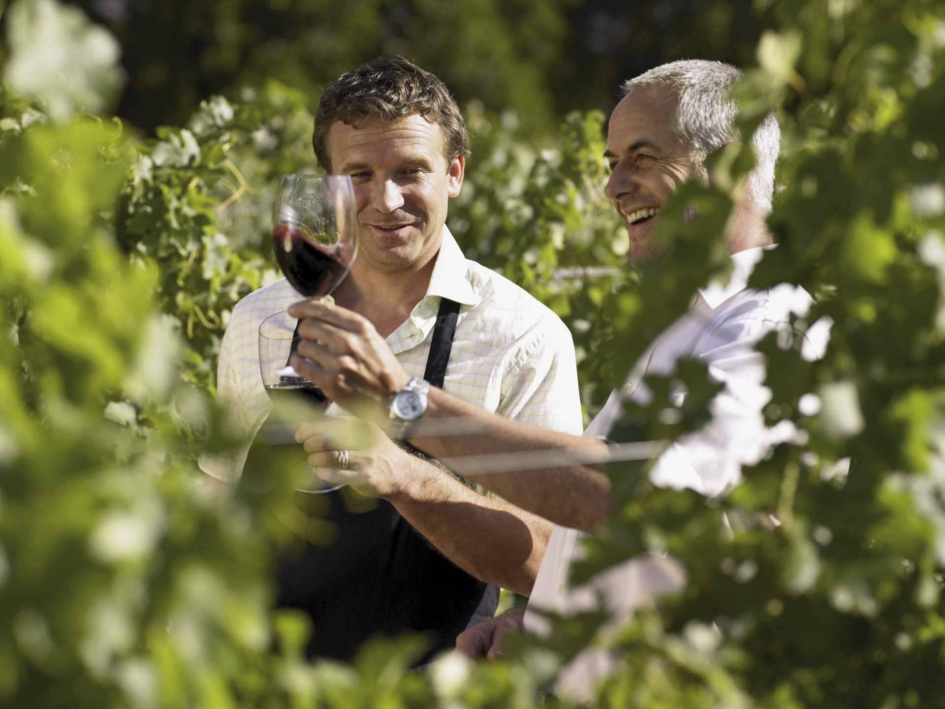 Yecla, territorio privilegiado donde yace la uva Monastrell