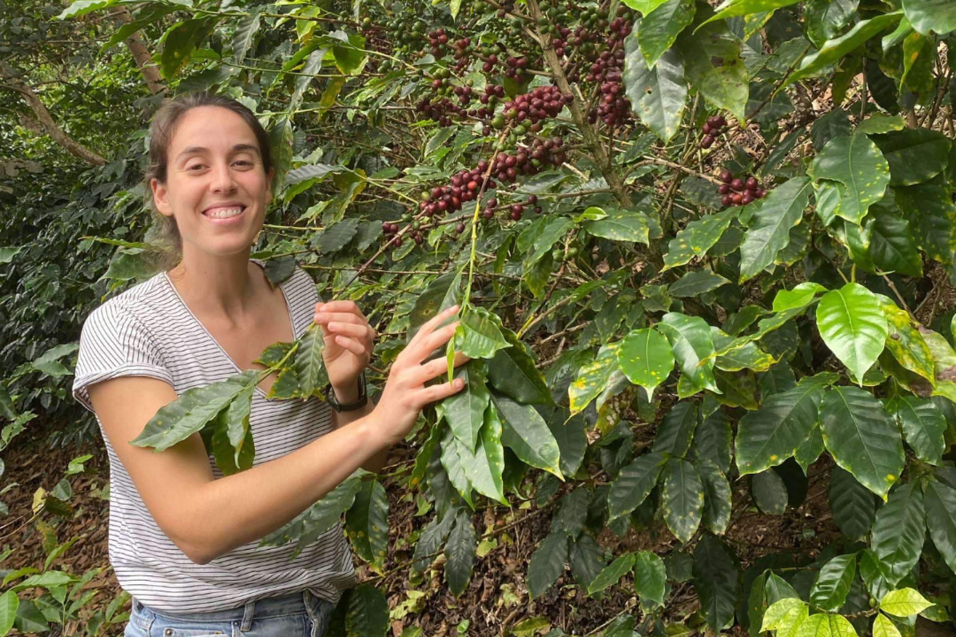 De la finca a la taza, la revolución del café ético de SIBARISTA