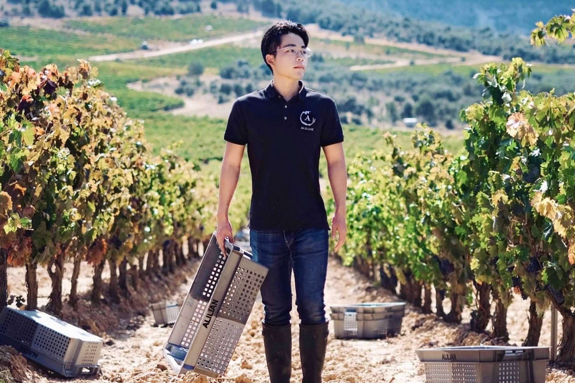 Bodegas Alilian, una bodega familiar ubicada en la zona más emblemática de la Ribera de Duero