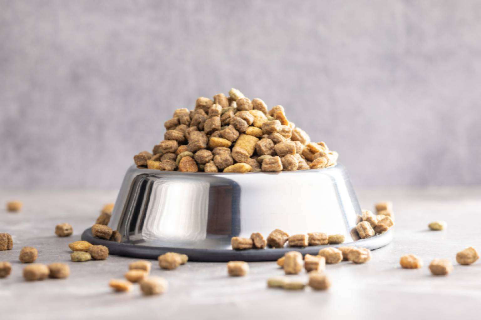 Pienso hidrolizado Feral Ka; un producto pensado para mejorar la salud diaria de perros y gatos