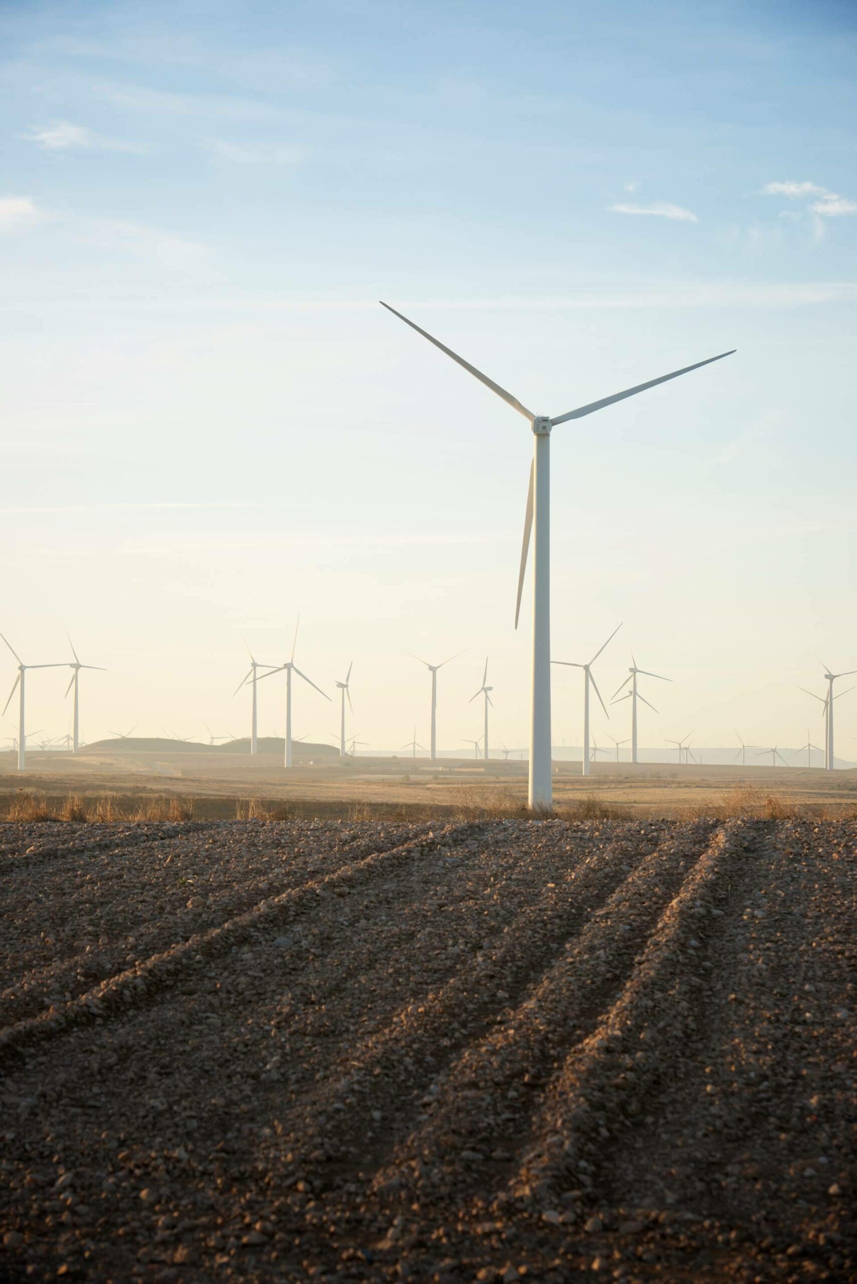Ingade ofrece soluciones para impulsar la sostenibilidad ambiental en las empresas