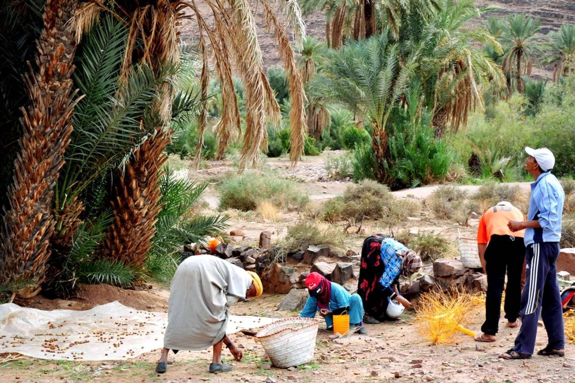 Viajes privados por Marruecos fuera de las rutas turísticas