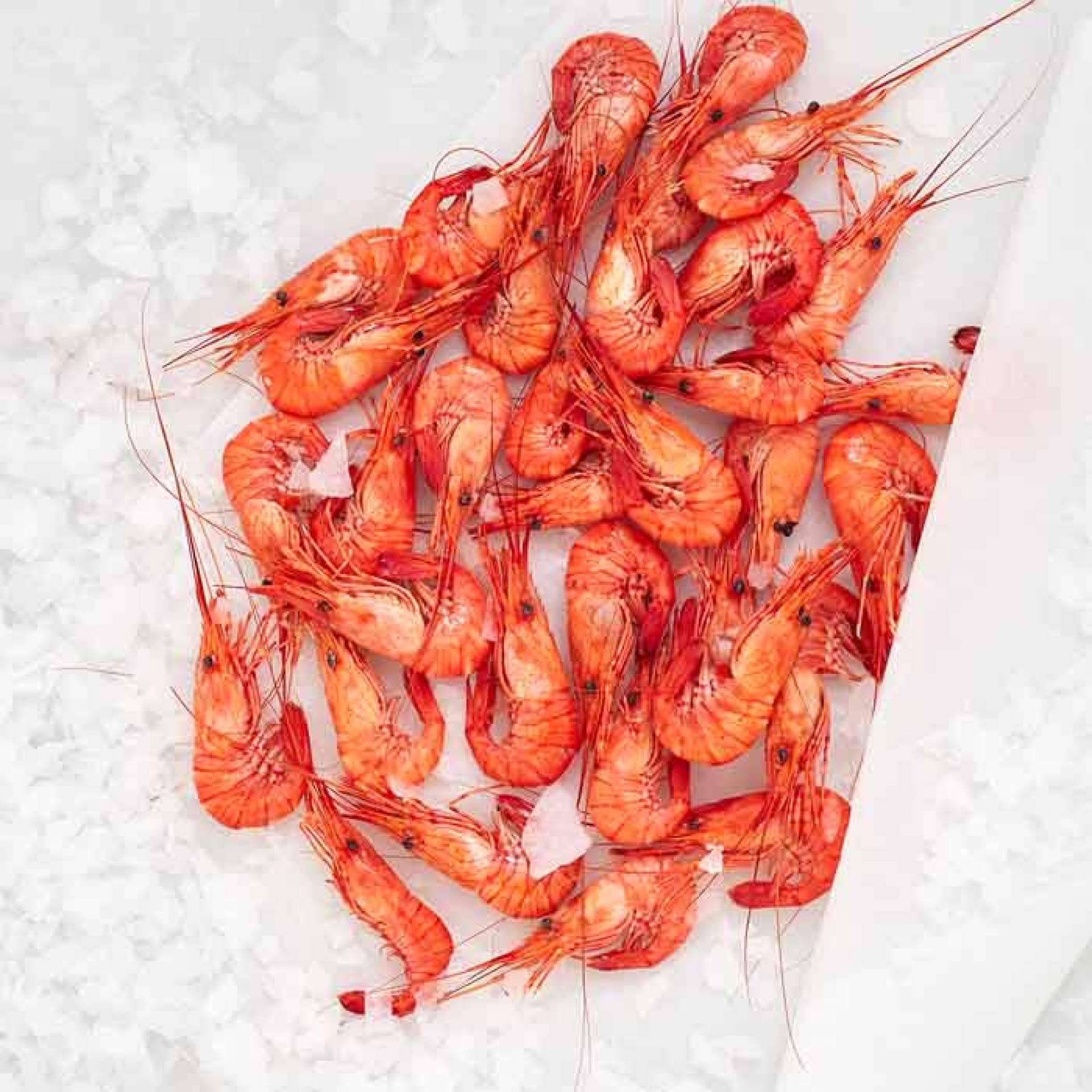 Marisco en Navidad; Consejos útiles para anticipar la compra y conservación