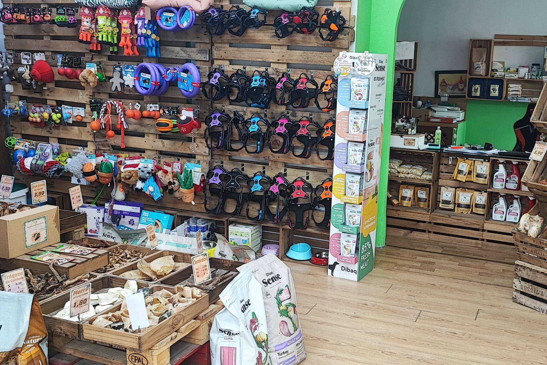 En 'ParaMascotas' creen que el peludo merece ser el más feliz del mundo