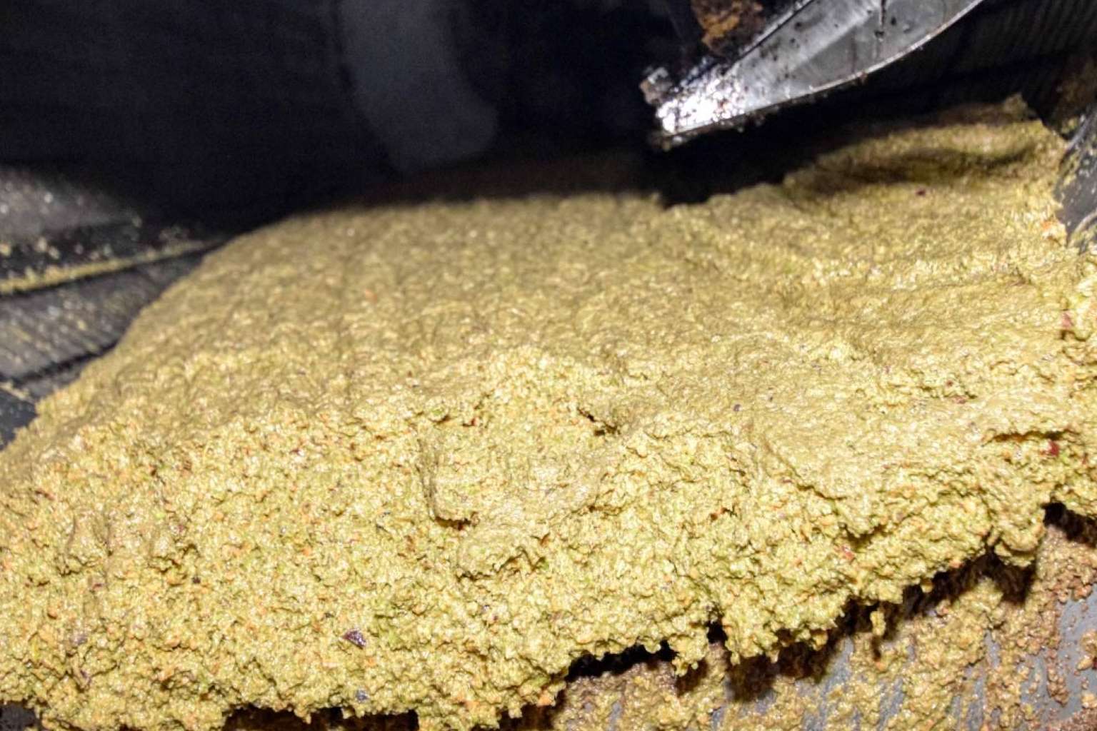 Beneficios del aceite de oliva sin filtrar en la salud de los consumidores, por Tercio de las Torres