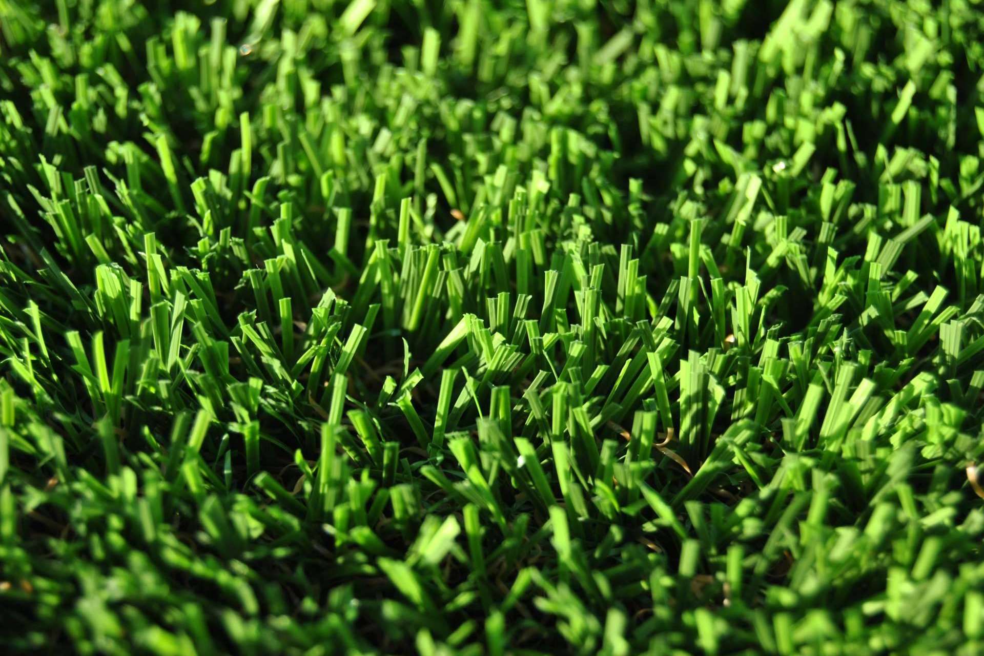 Alta tecnología para el desarrollo del aspecto natural del césped artificial con Albergrass