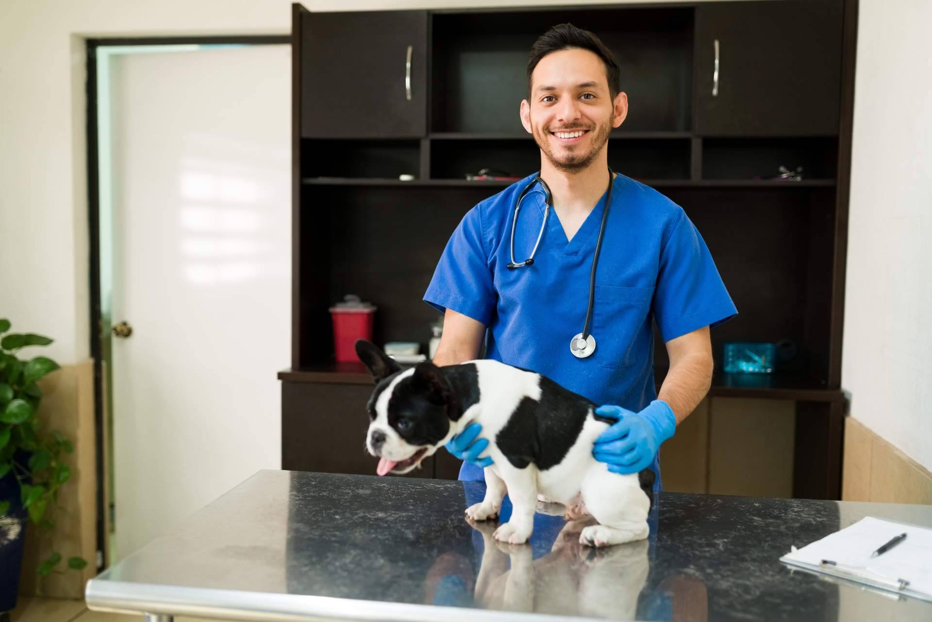 La importancia de la formación teórica en las áreas de la veterinaria