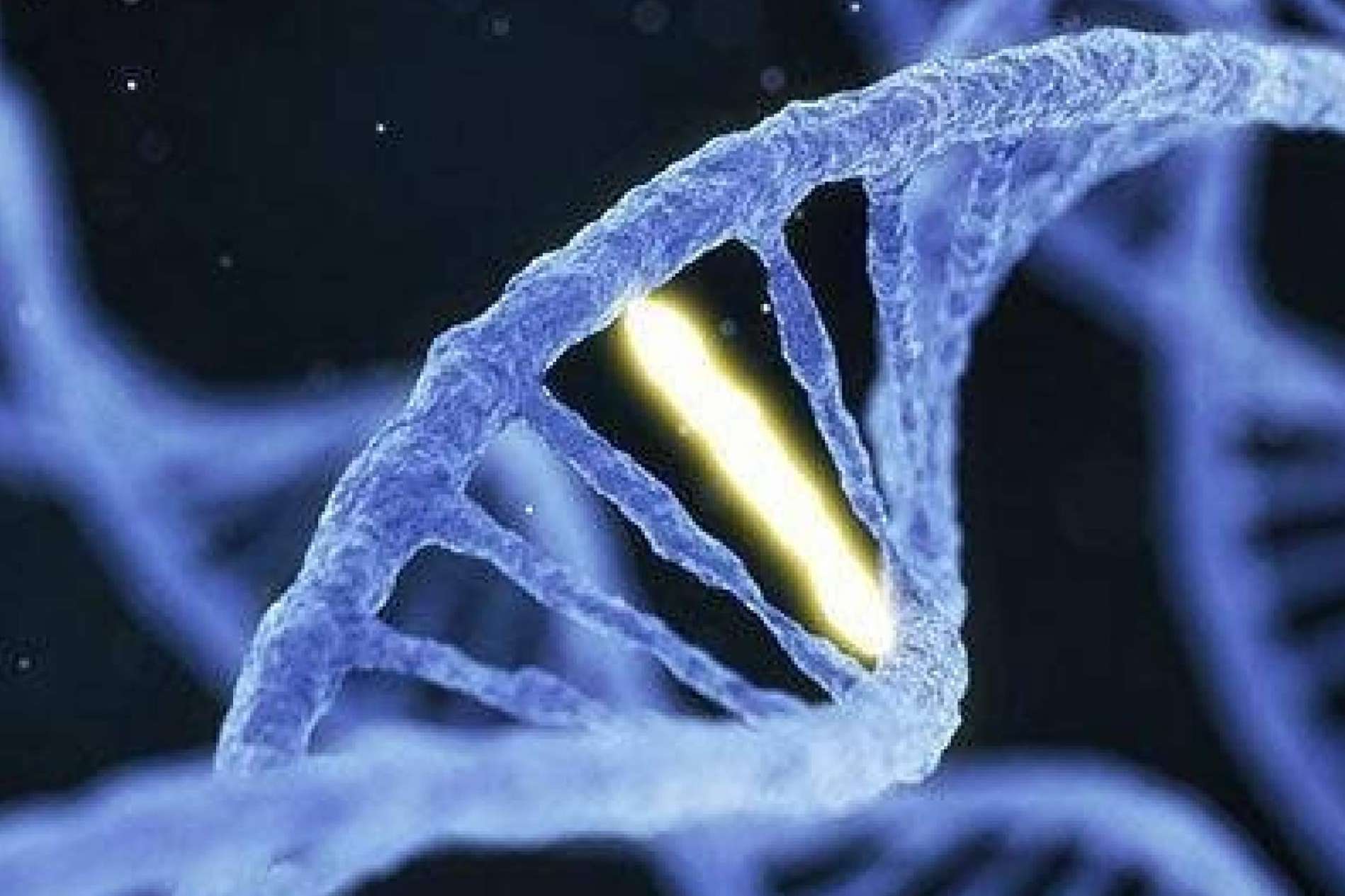 CITOMOL integra biología molecular en la investigación del cáncer familiar