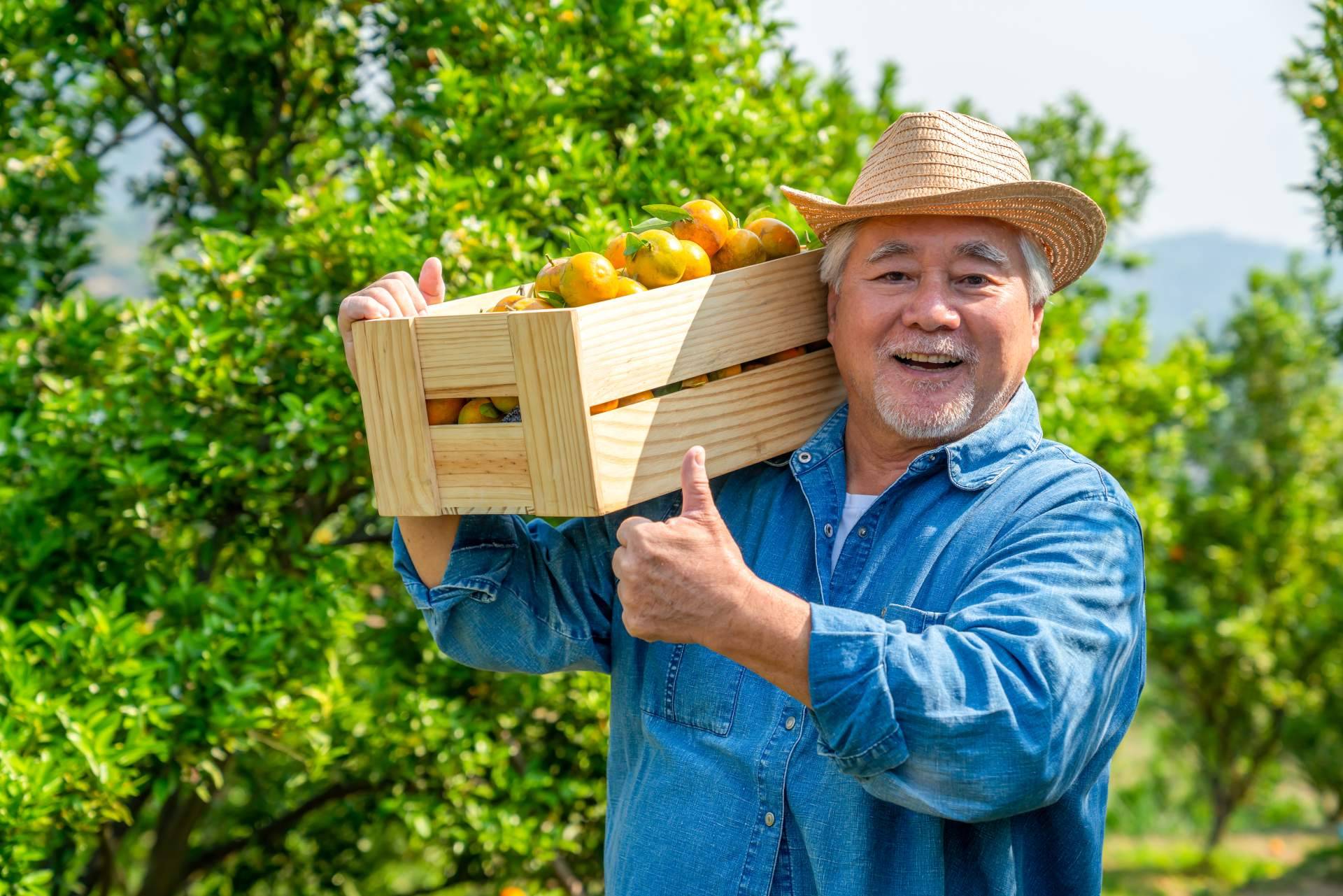 El Amazon de los Agricultores; JGCmarket Revoluciona el comercio justo y de proximidad