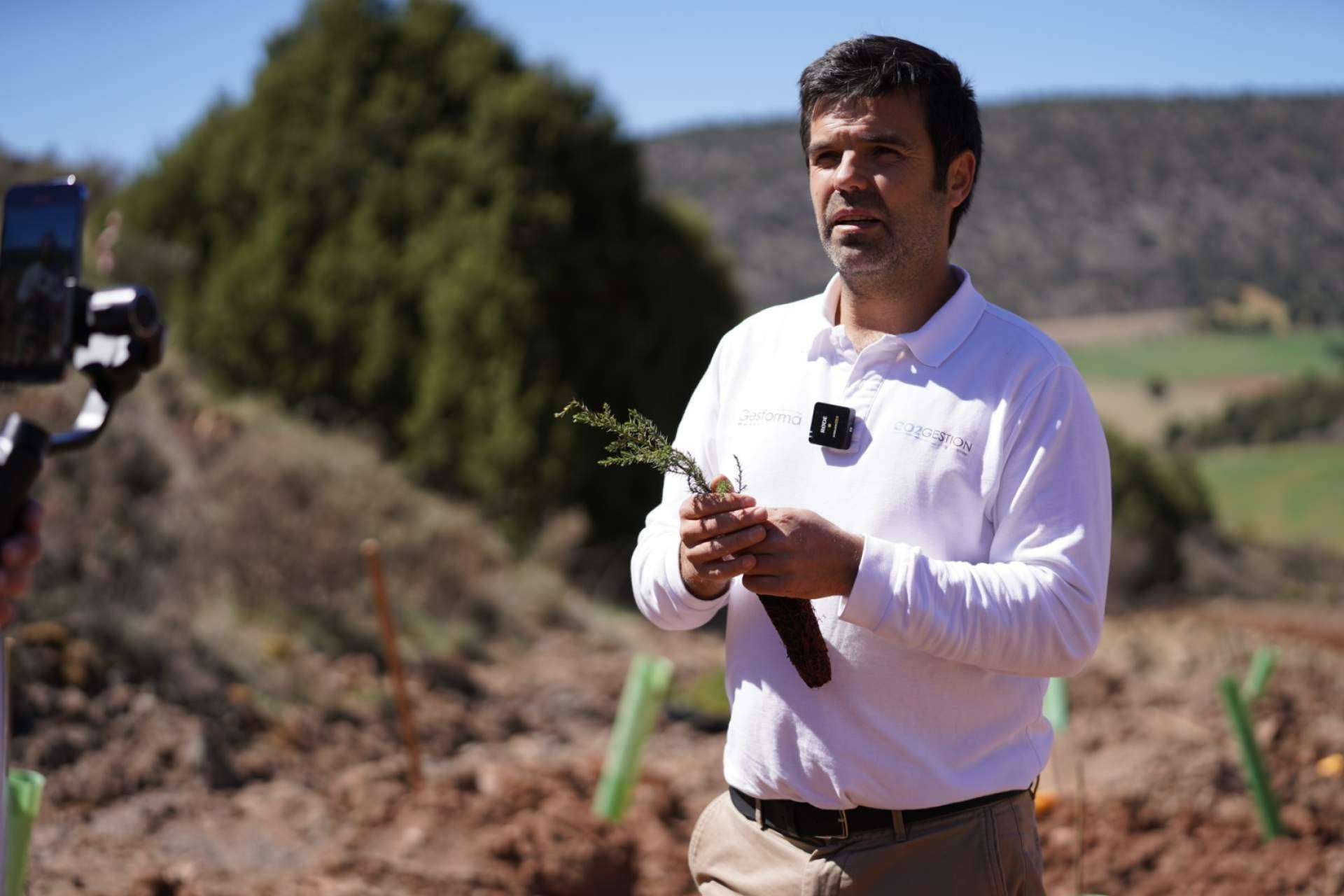 CO2 GESTIÓN impulsa la reforestación empresarial y la certificación del triple sello del MITERD