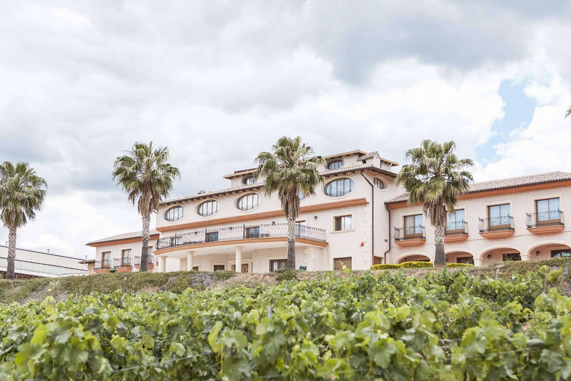 Vegamar refuerza su legado vinícola en el Alto Turia con vinos gourmet de esencia moderna