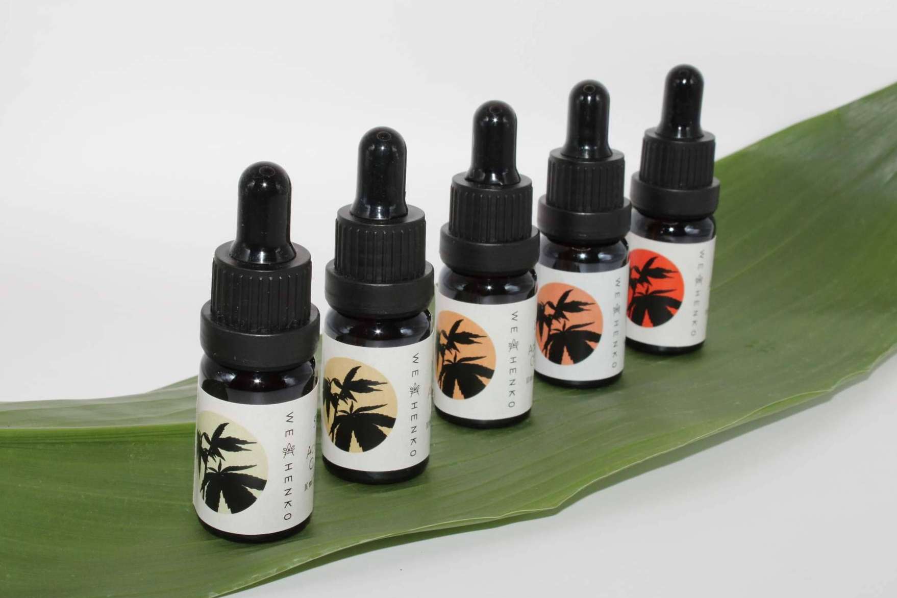 Flores pequeñas de CBD y asesoramiento especializado posicionan a We Henko como referente del sector