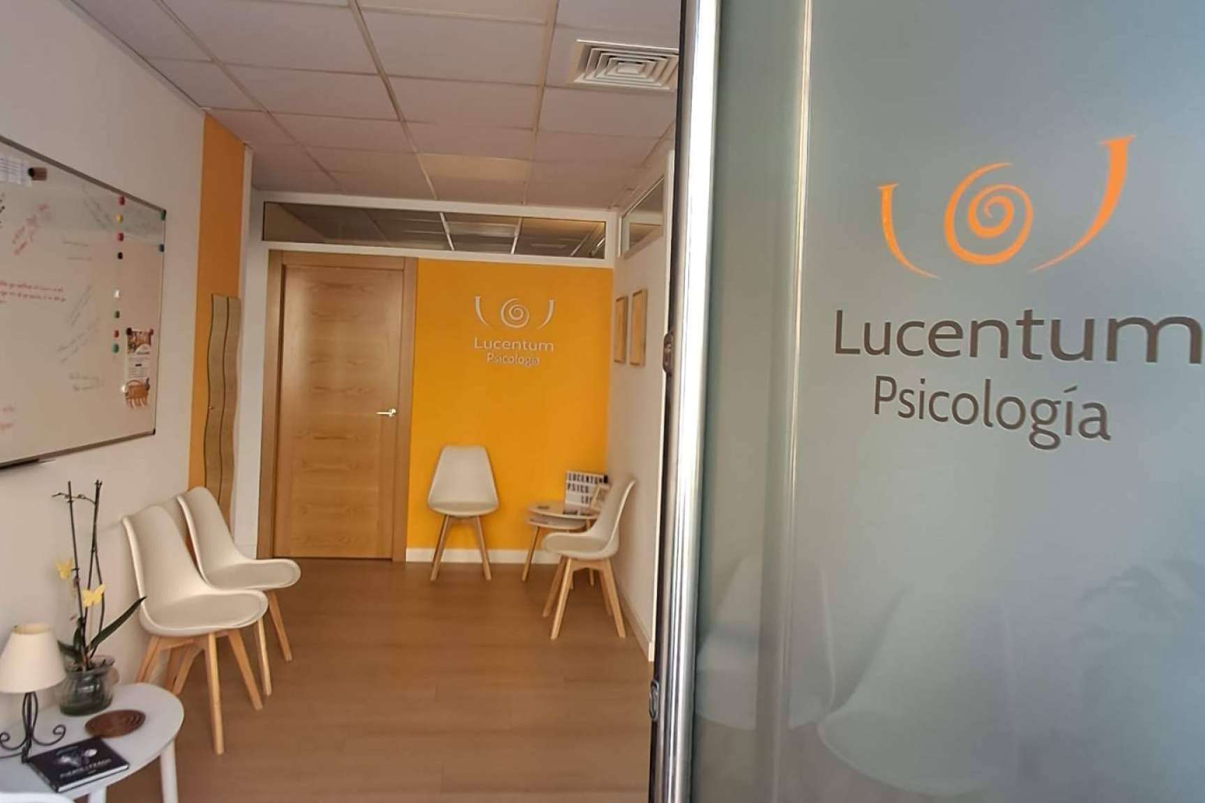 Oferta especializada de psicólogos en Alicante a través de Lucentum Psicología