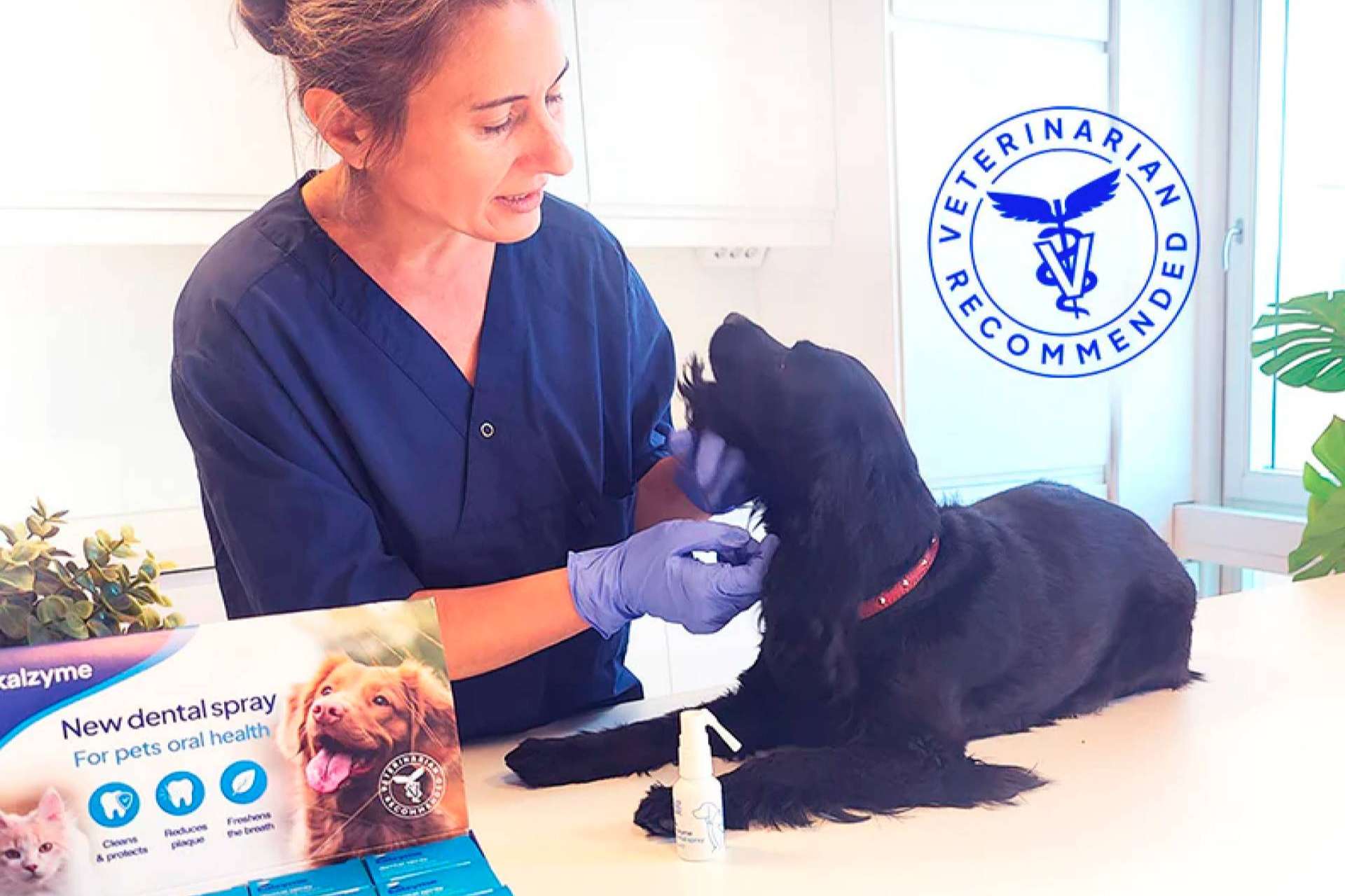 Kalzyme; innovación en el cuidado bucodental para mascotas