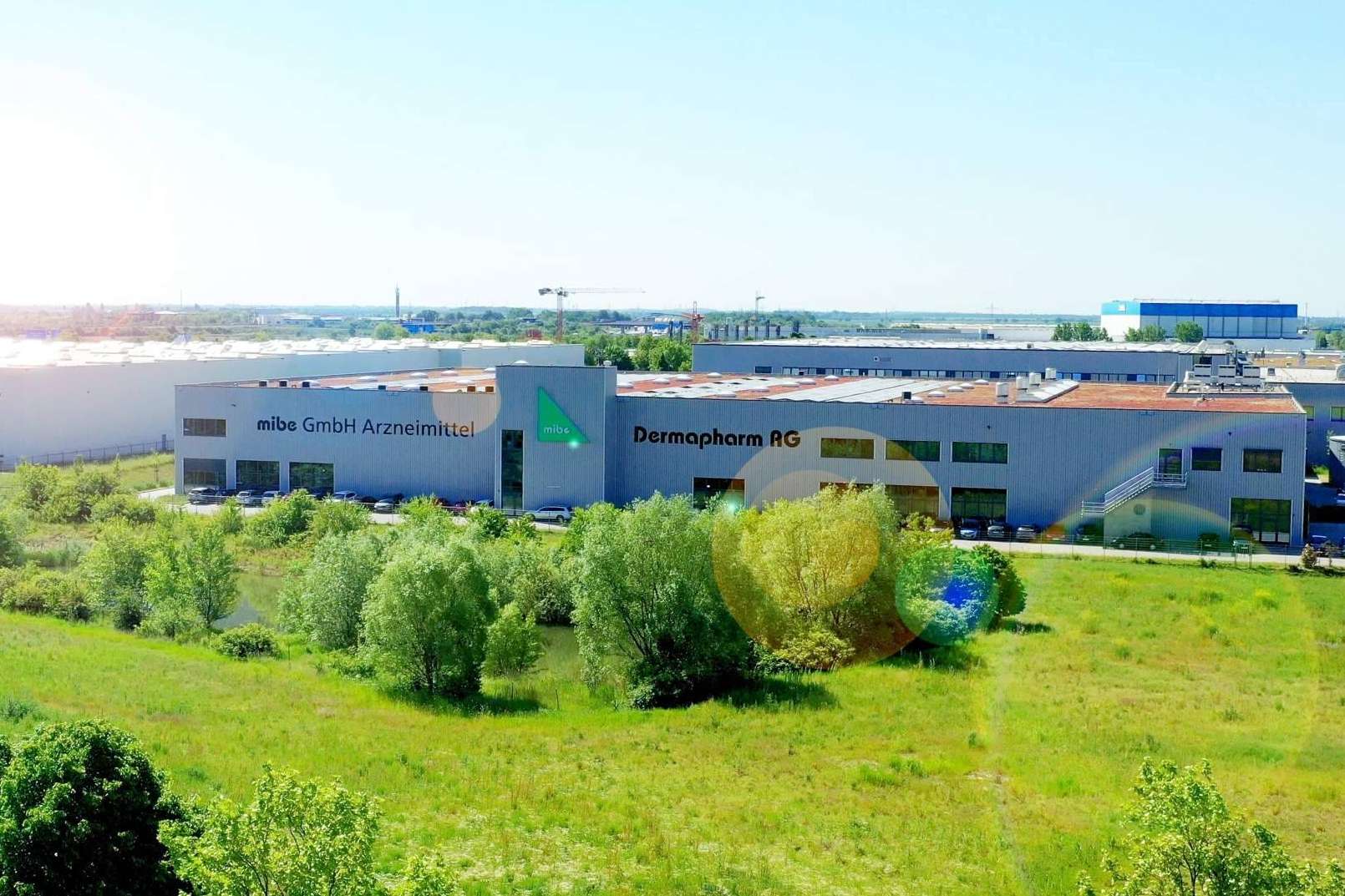 mibe Pharma España apuesta por la dermatología y lanzará nuevas soluciones para el acné y la psoriasis
