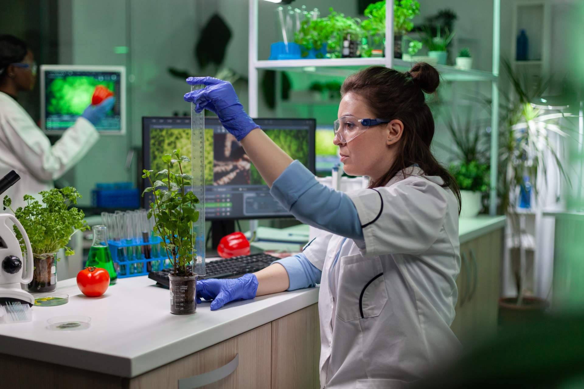 La ciencia del suelo toma protagonismo; biofertilización y agricultura regenerativa desde Argentina