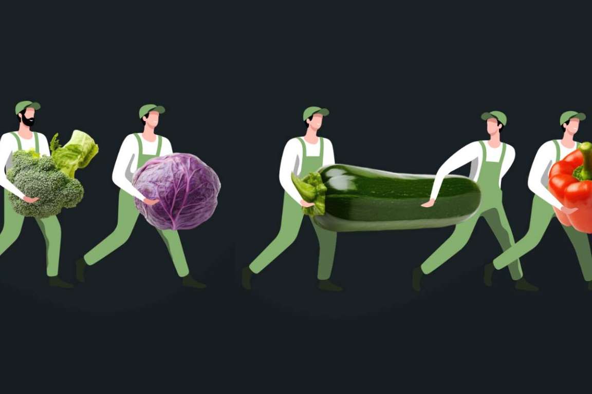 Mercado La Terminal Online revoluciona la compra de frutas y verduras frescas en Guatemala con entrega a domicilio