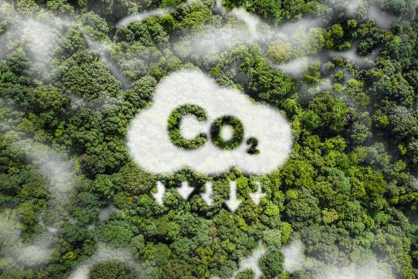 Reducción de CO₂ en calefacción y aire acondicionado; el aislamiento SATE según ANFAPA