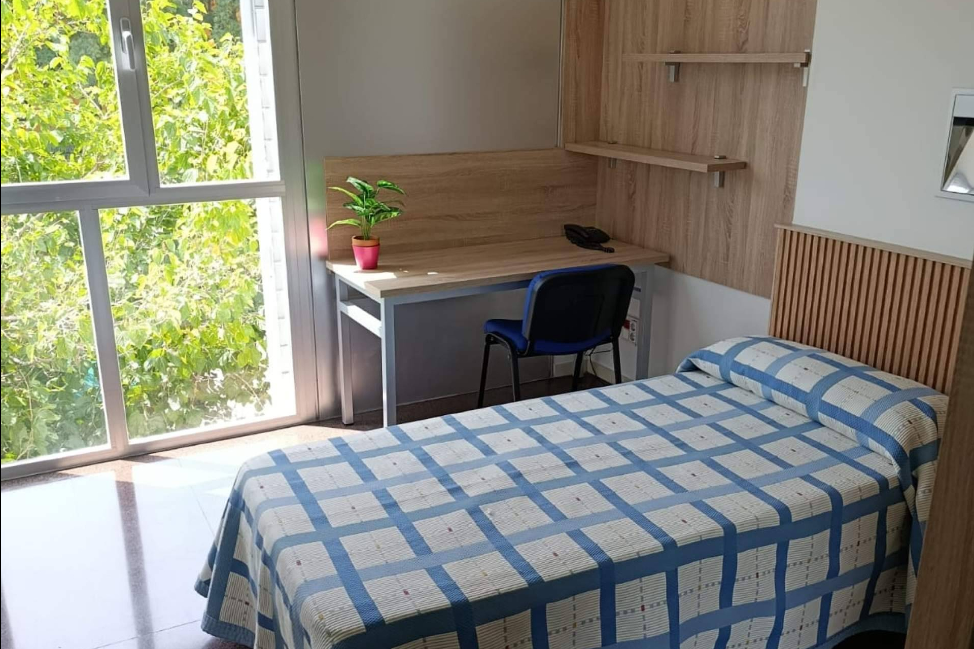 Residencia femenina en el centro de Murcia con más de 50 años de experiencia