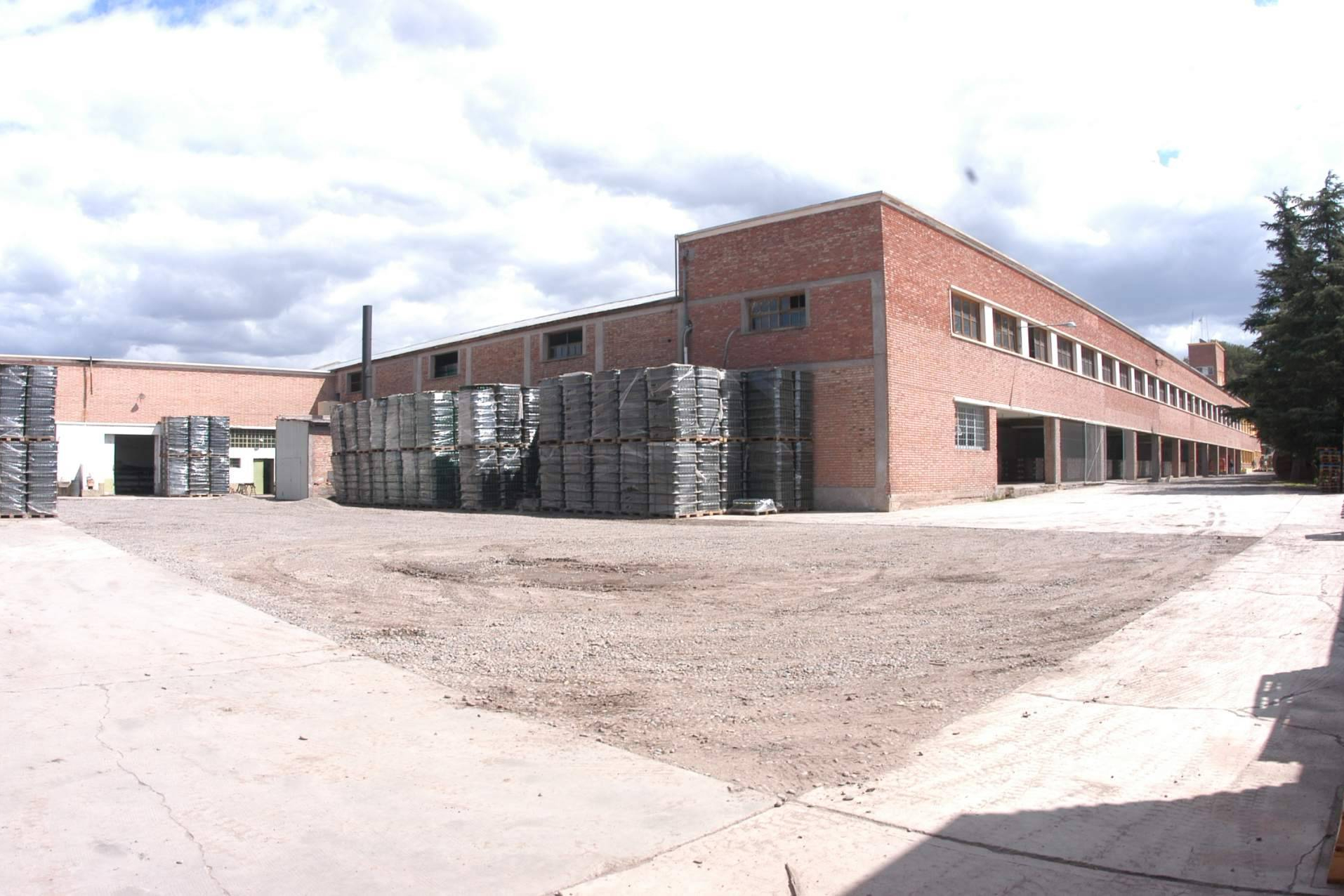El sur de Mendoza, en foco; Tierra Noble Property y las tendencias del mercado inmobiliario en San Rafael