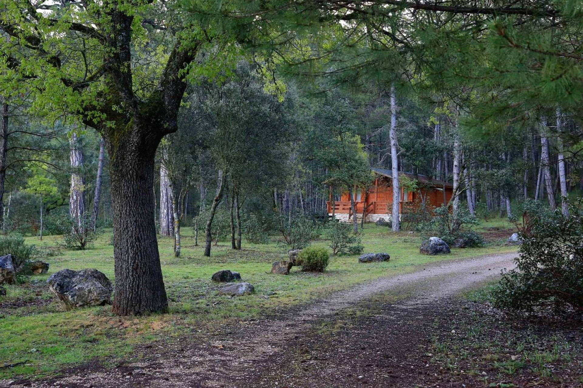 Cabañas Llano de los Conejos lanza sus bonos regalo; una experiencia rural para acertar seguro