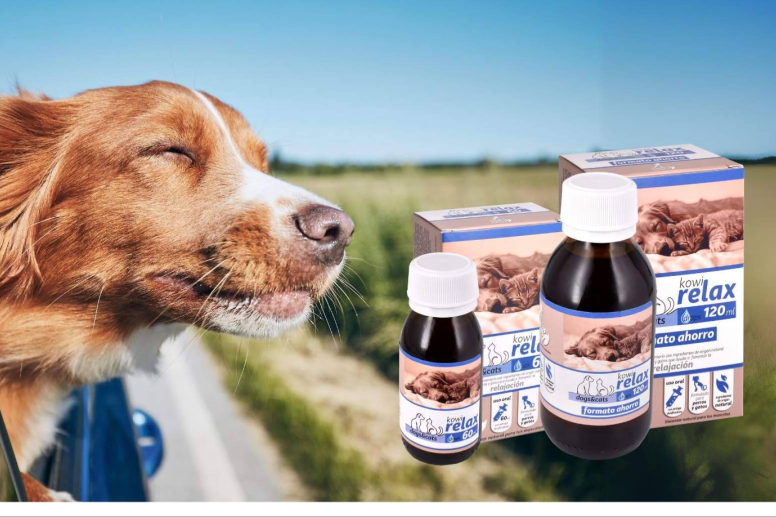 Los nuevos suplementos naturales para perros y gatos de Kowi Nature que no se pueden perder