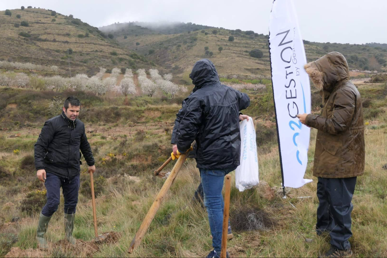 CO2 Gestión impulsa la sostenibilidad empresarial a través de la reforestación corporativa en España