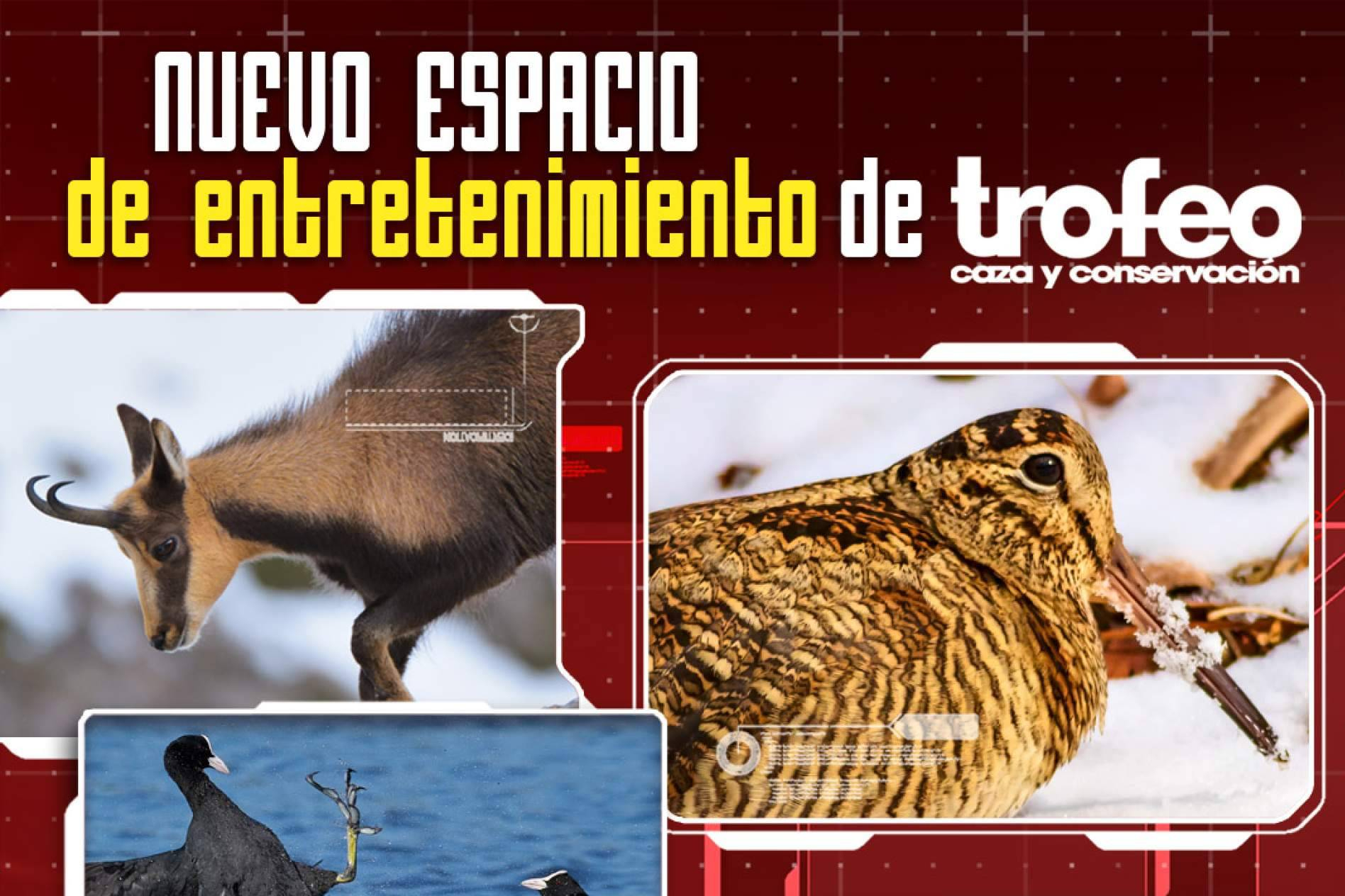 La trayectoria de Trofeo Caza evoluciona hacia un espacio interactivo pensado para las nuevas generaciones