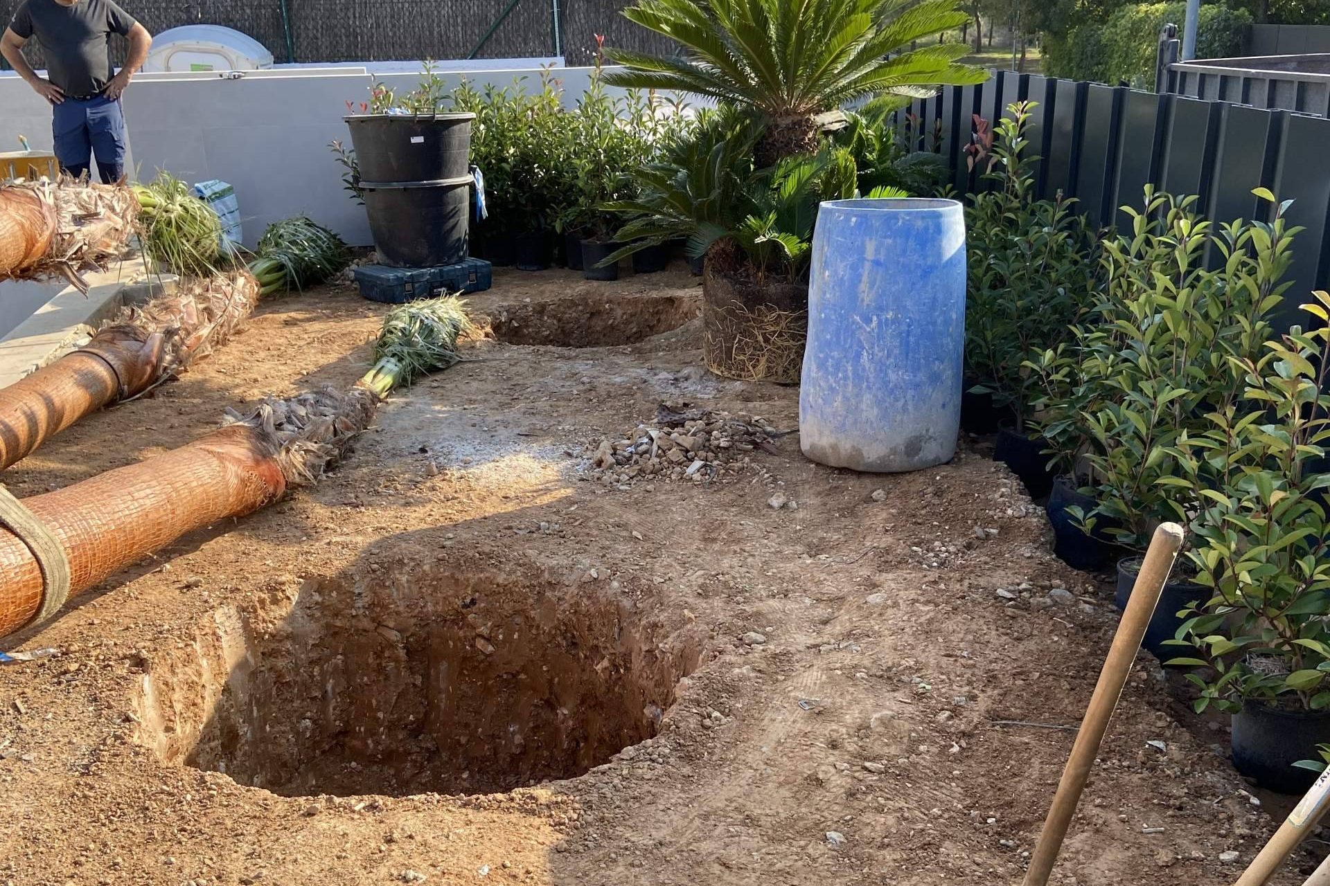 Expertos en paisajismo sostenible; transformando el diseño de jardines en Barcelona