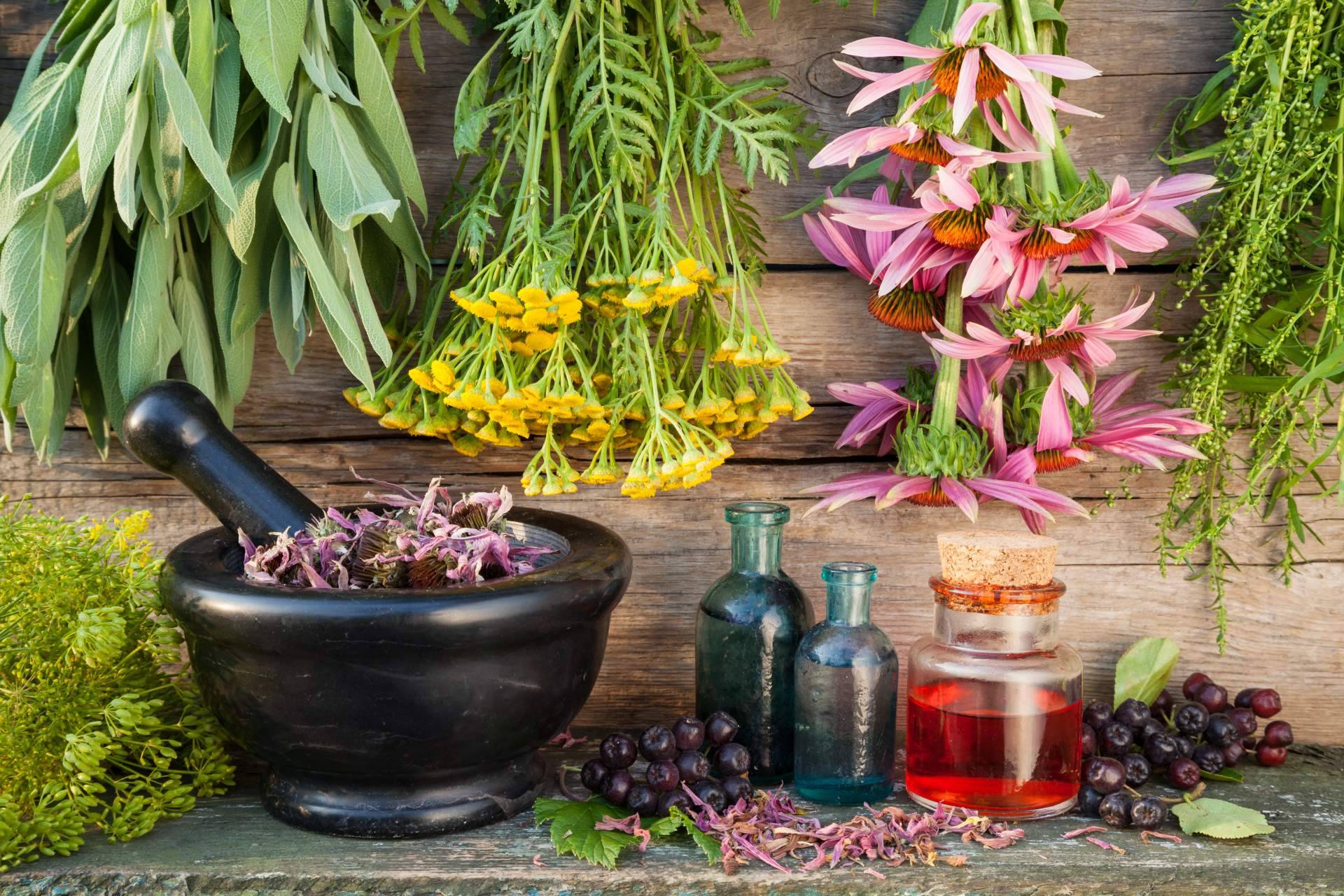 Aceites esenciales y aromaterapia, el papel del olfato en el equilibrio emocional