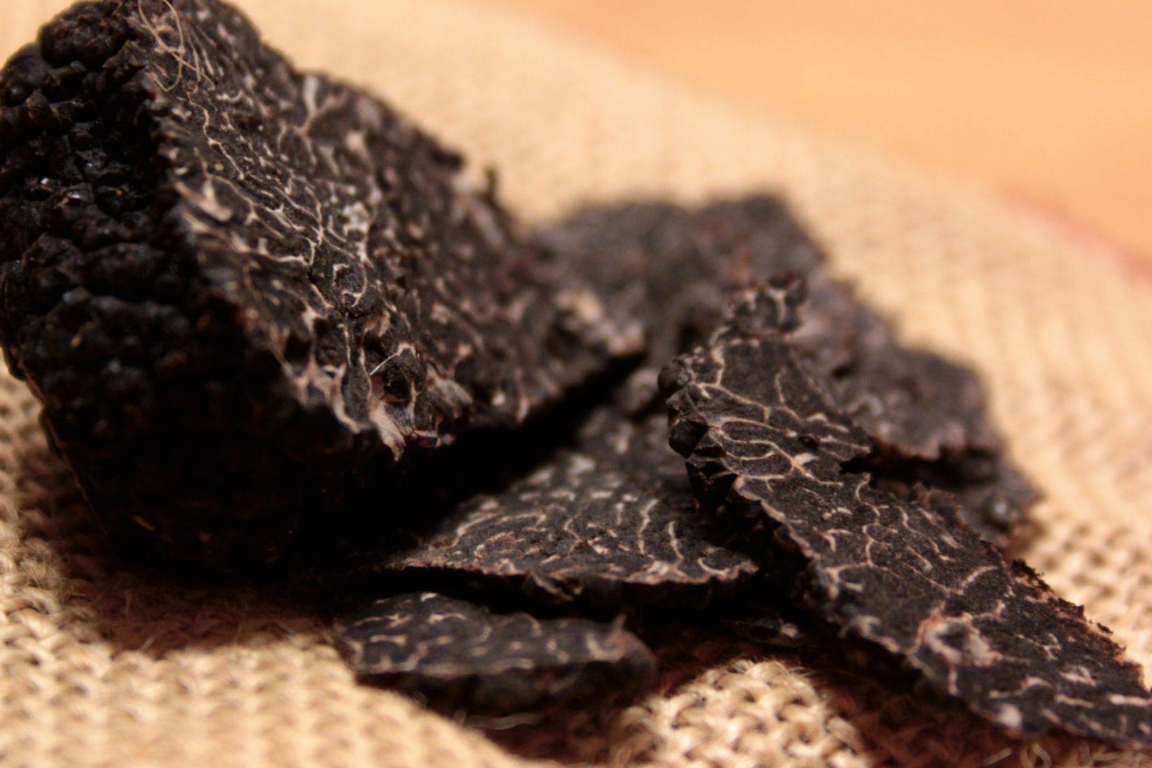 Plataformas como Sentidos Truferos acercan la trufa negra a todas las cocinas