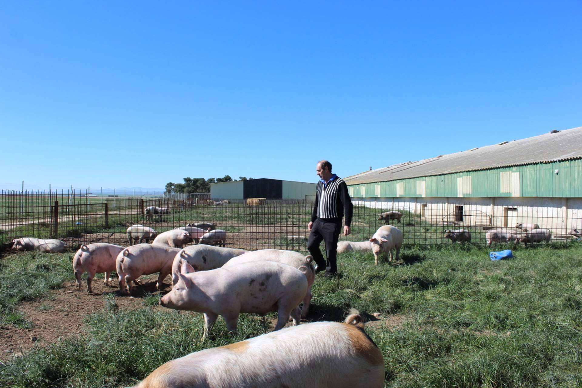 Las granjas familiares, esenciales para mantener viva la economía rural en España