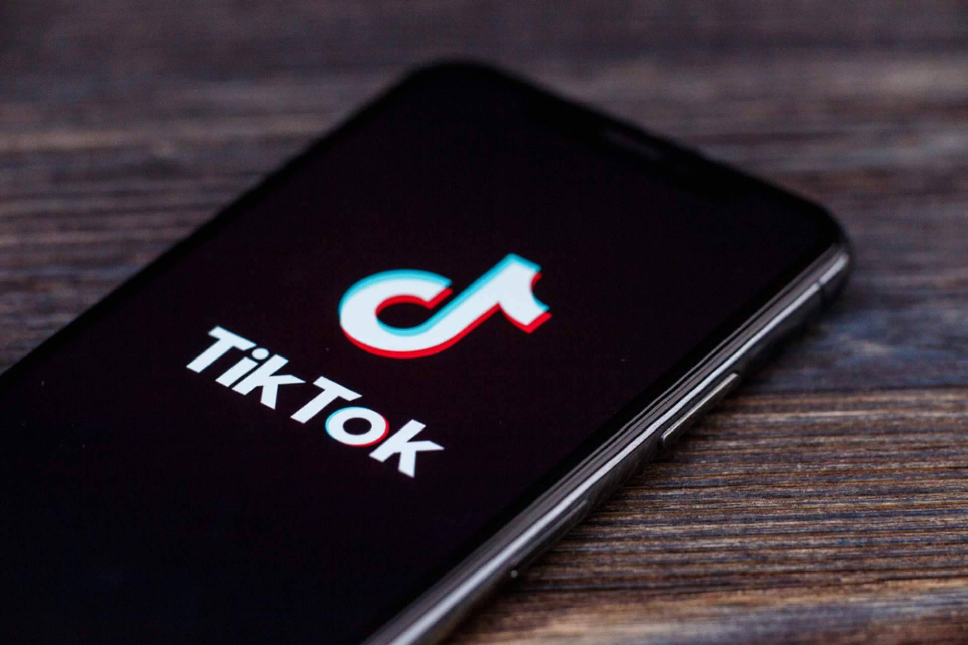Productos virales de TikTok para hogar, cocina, belleza, mascotas y jardín; la propuesta de Zoovify
