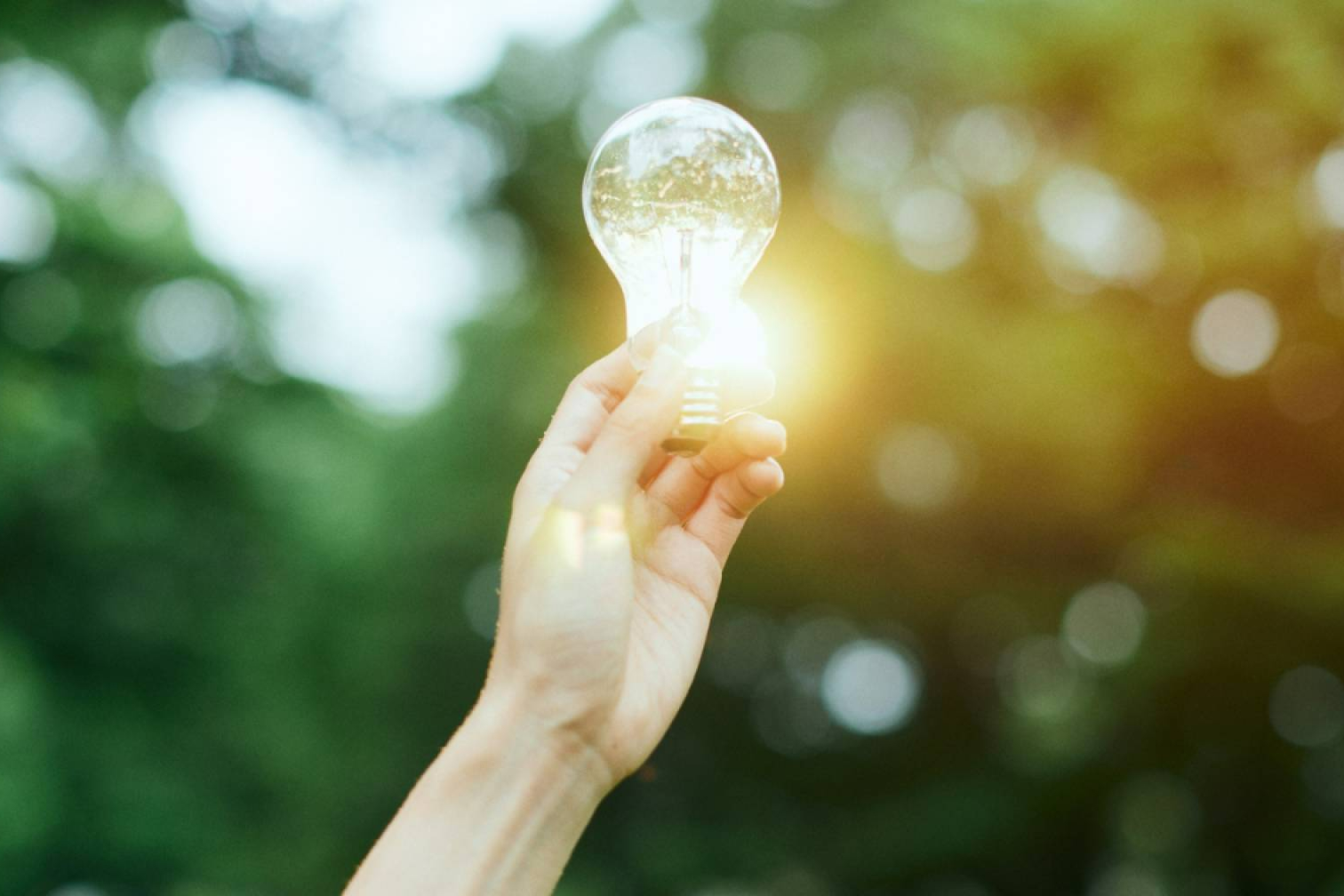 Certificados de Ahorro Energético (CAE); qué son, cómo funcionan y cómo conseguirlos en España