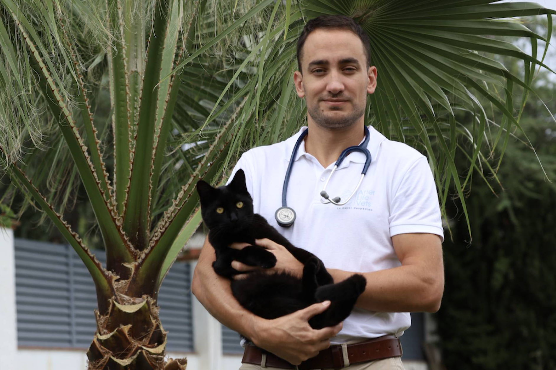 ¿Es el hogar el mejor lugar para decir adiós al animal de la familia?
