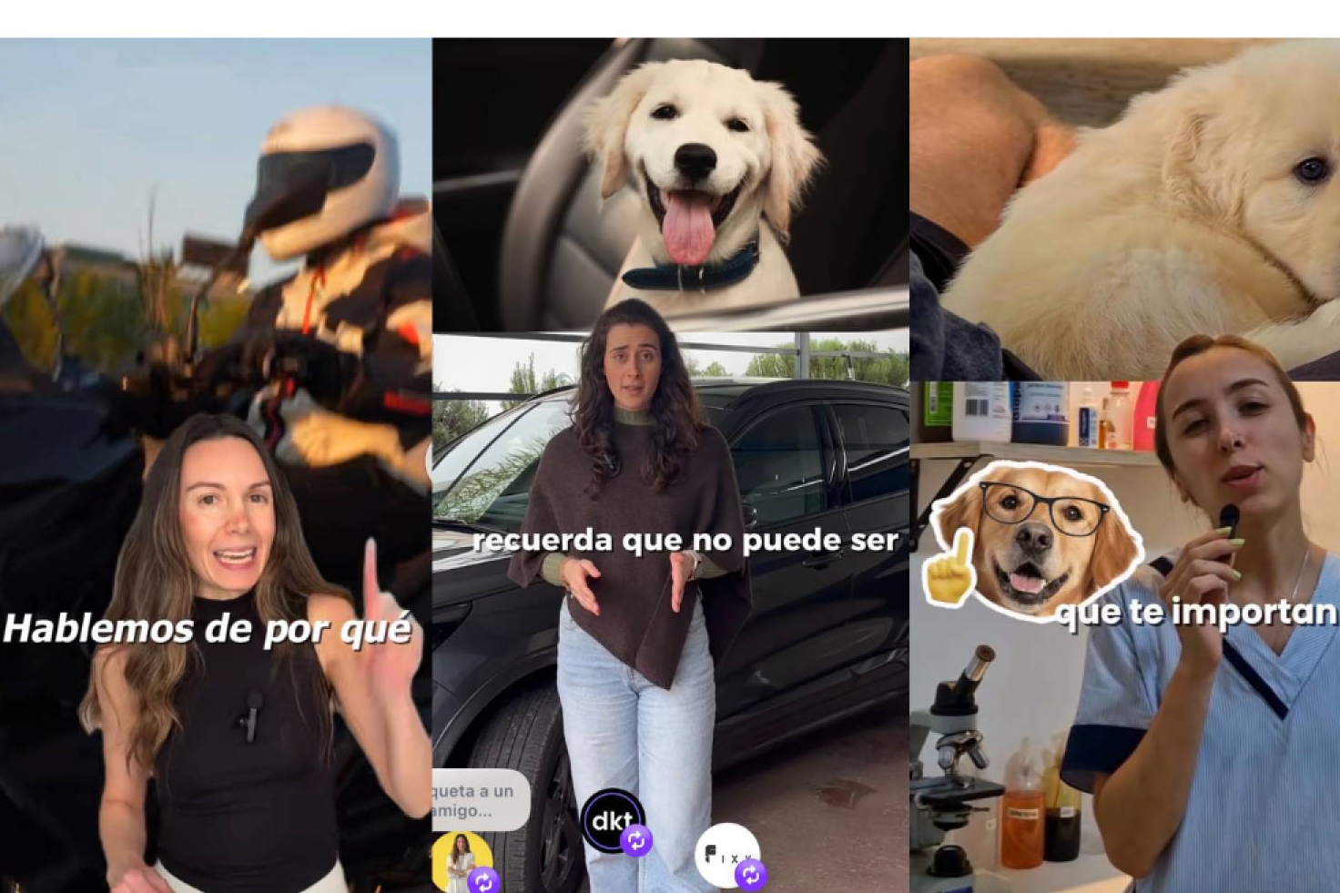 Los vídeos orgánicos en redes sociales se afianzan como motor de ventas para los negocios