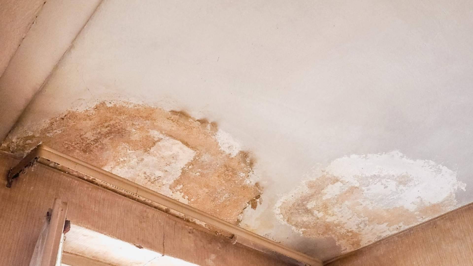 Humedades por lluvia; cómo reconocerlas y por qué no debes ignorarlas