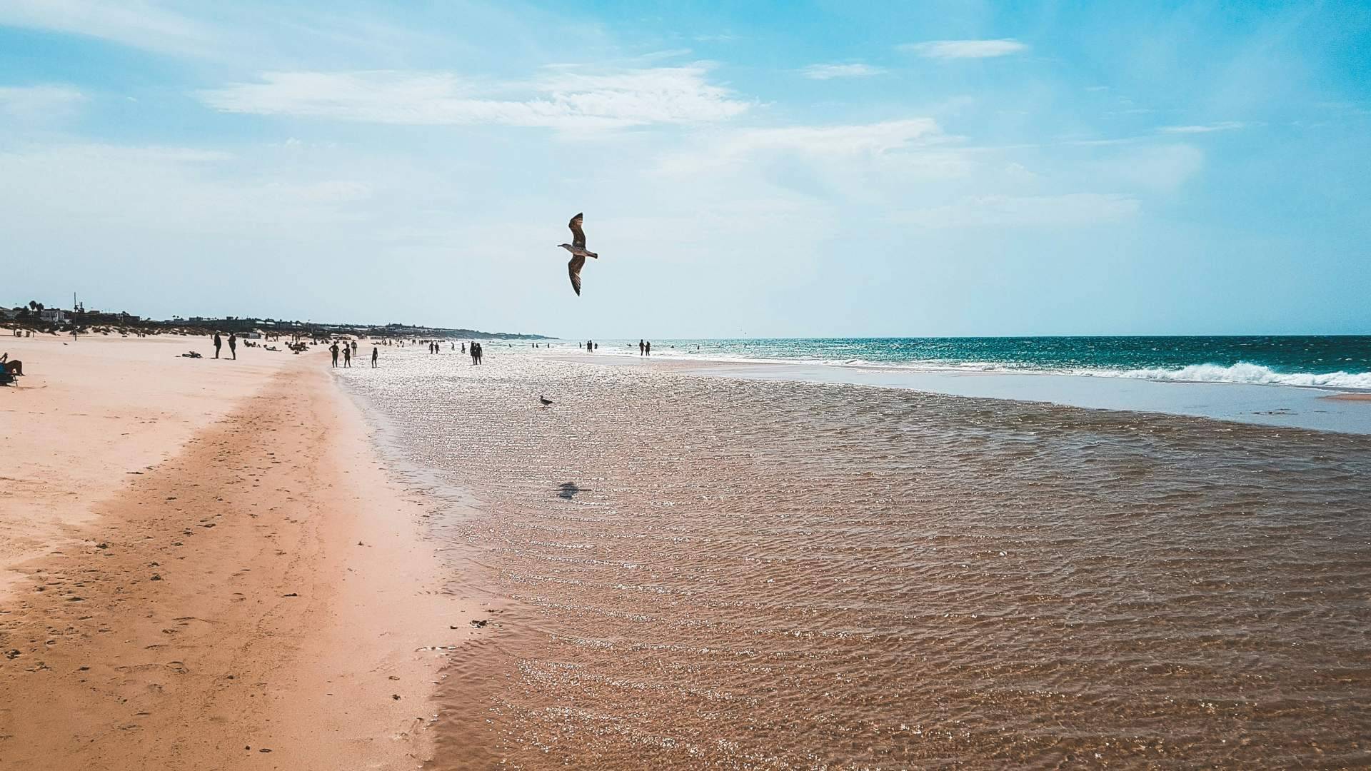 Destino La Barrosa; Cómo llegar desde el aeropuerto o estación de tren