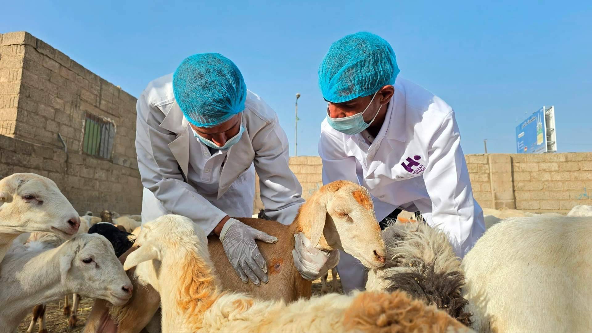 ¿Qué es el Eid al-Adha y cuándo se celebra este año?