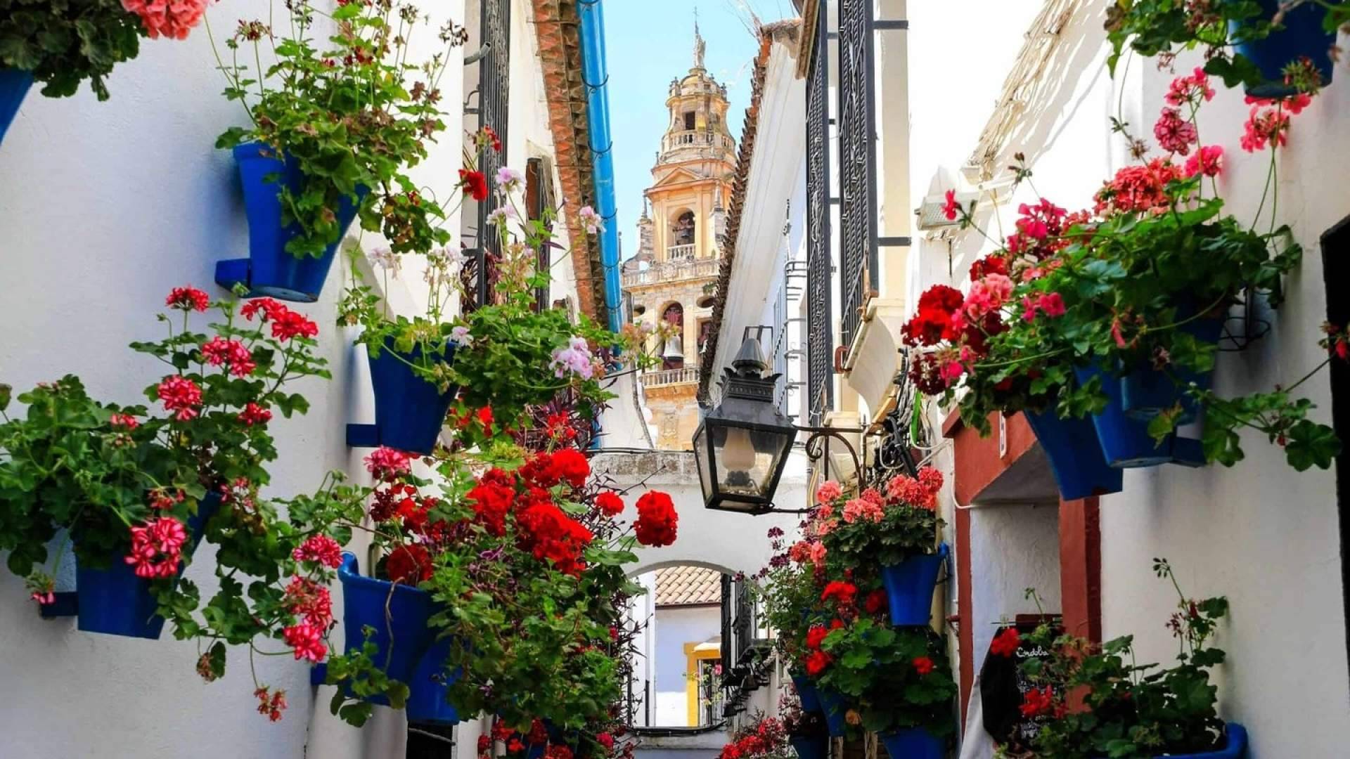 'Andalucía en flor', las escapadas recomendadas para descubrir la primavera andaluza