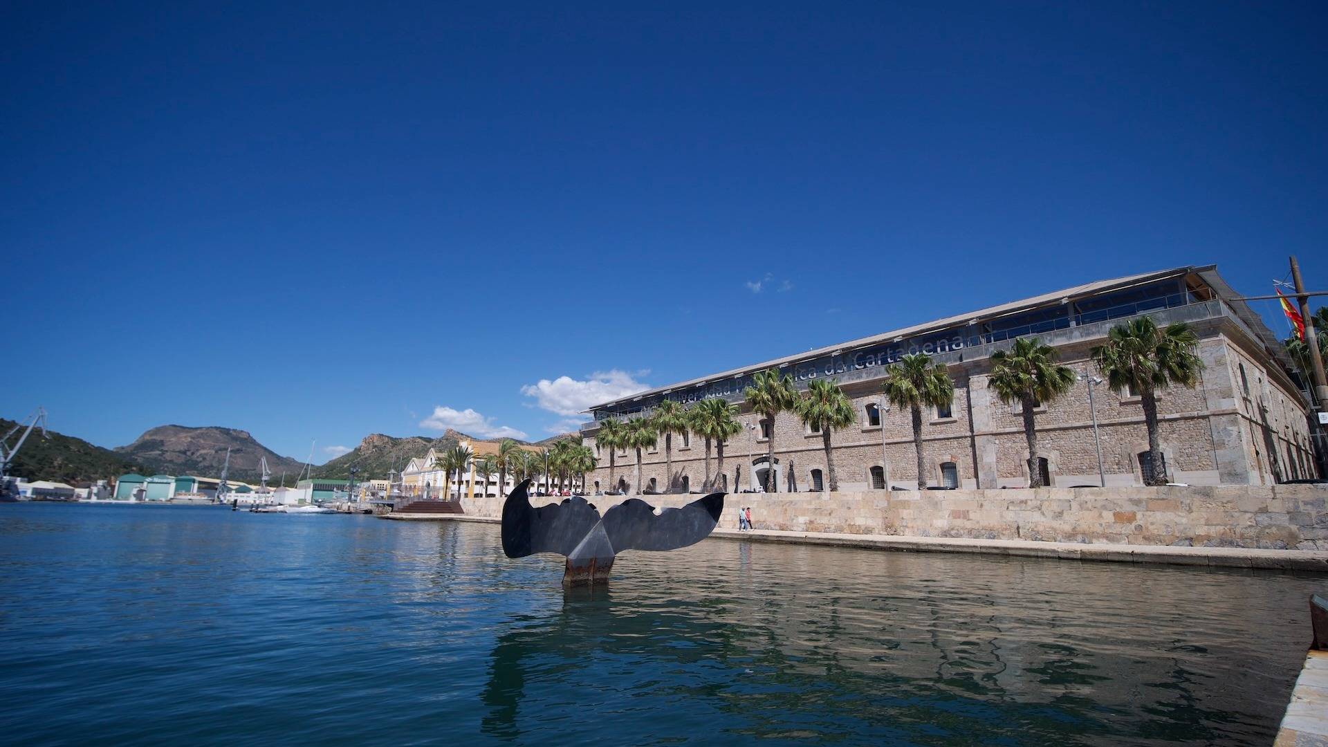 Del Club Puerto de Culturas a los abonos anuales; cómo ver los mejores museos de Cartagena a un coste más accesible