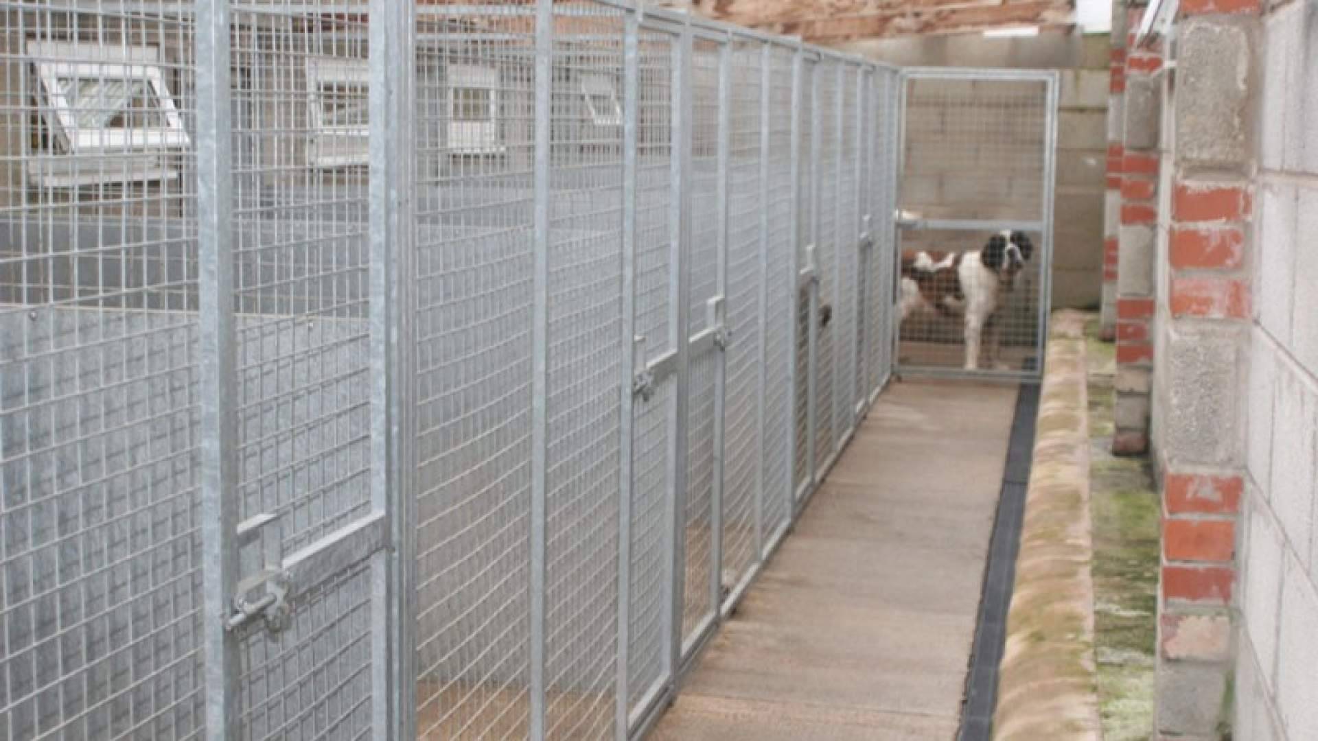 Control De Derrames comercializa un repelente de citronela soluble en agua que elimina la necesidad de aplicadores profesionales