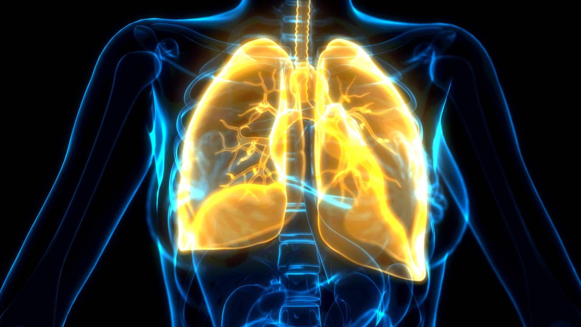 El asma bronquial; una enfermedad respiratoria en aumento que requiere atención especializada