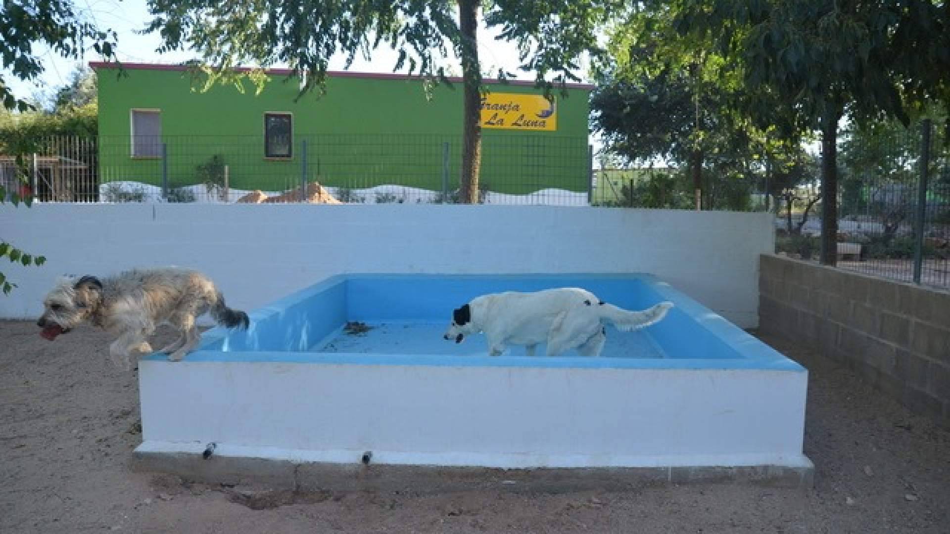 Granja La Luna, una residencia de verano para mascotas que inspira confianza a las familias