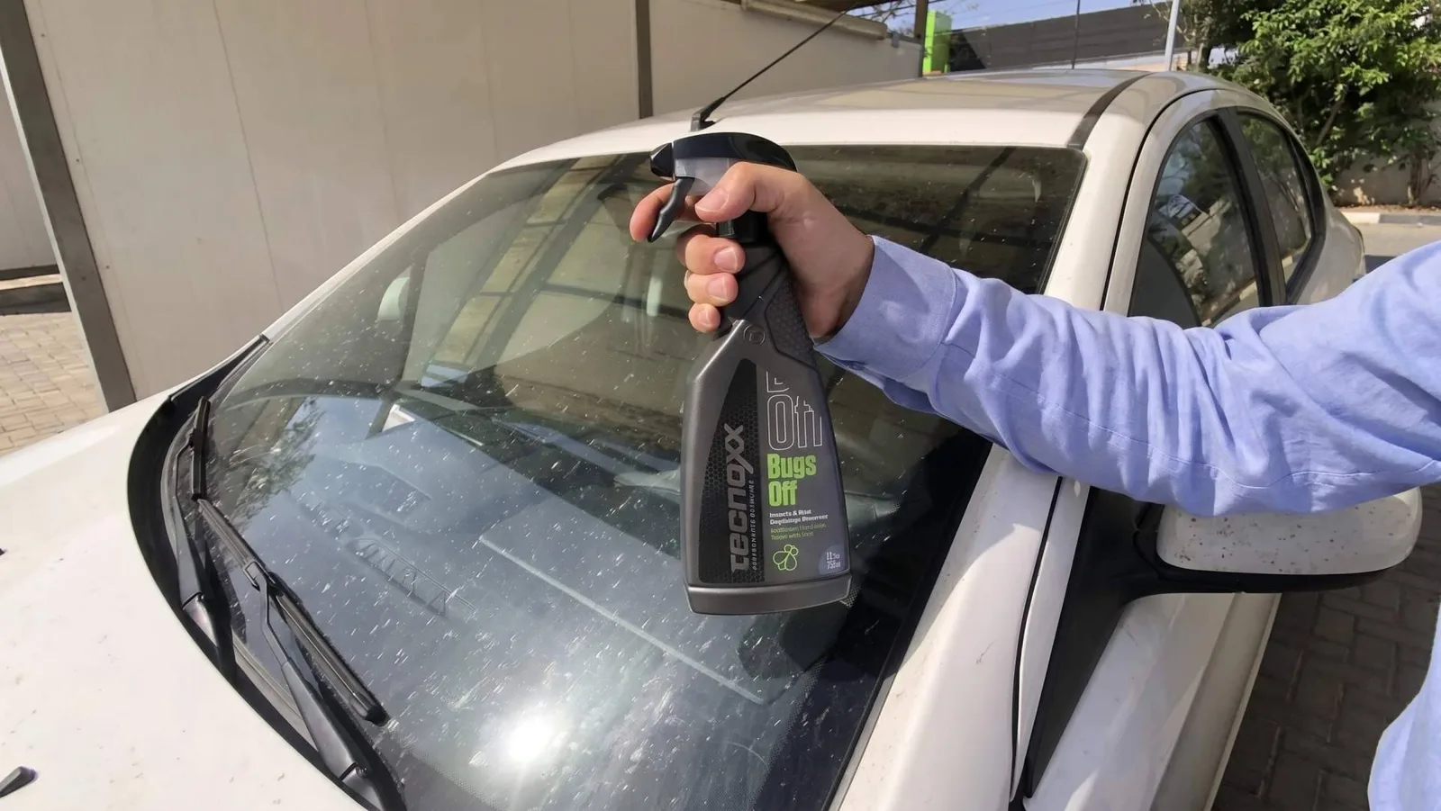 Eliminar insectos del coche gana protagonismo en verano