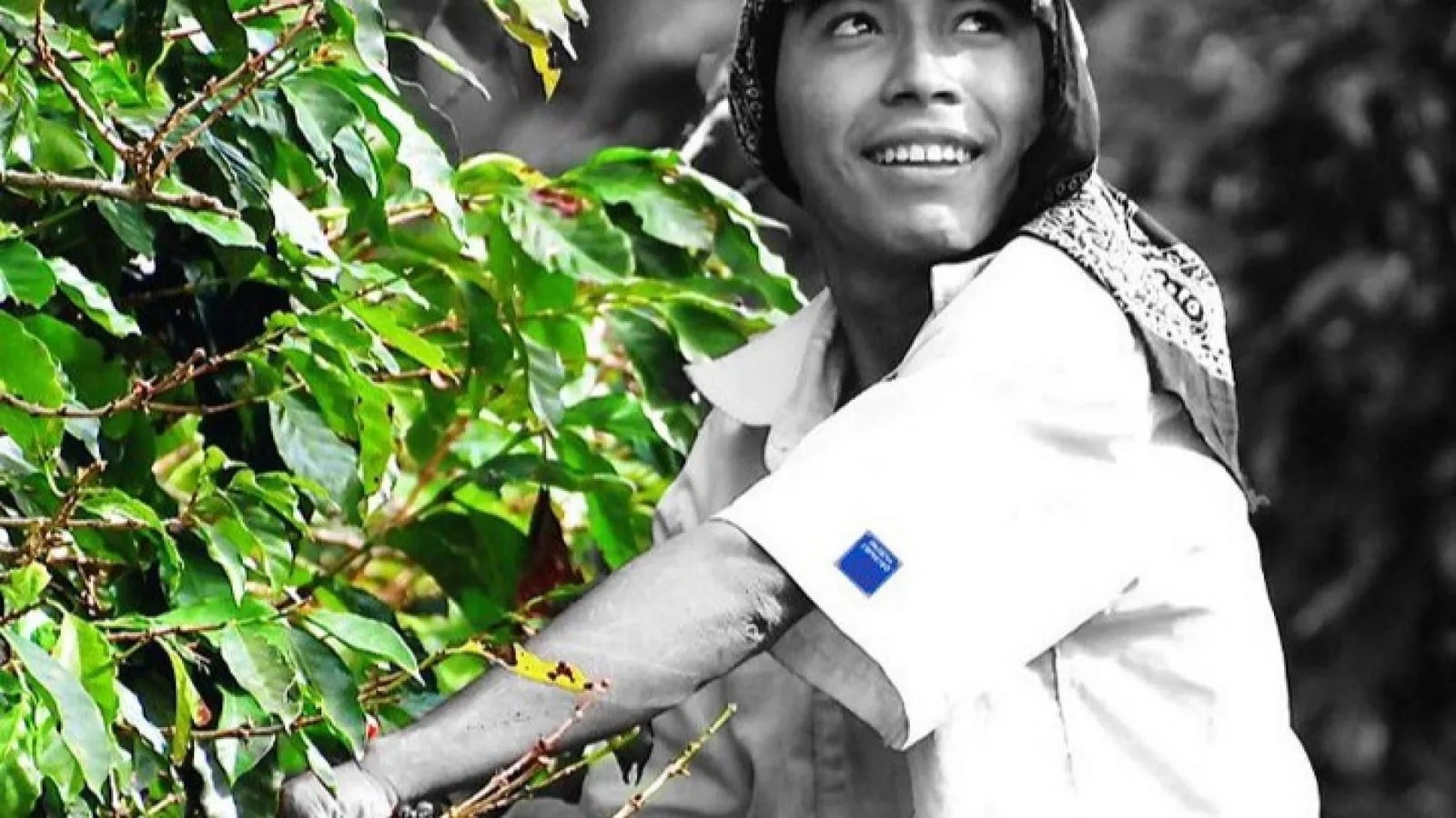 El café para oficina, el origen de una propuesta integral para mejorar el bienestar laboral