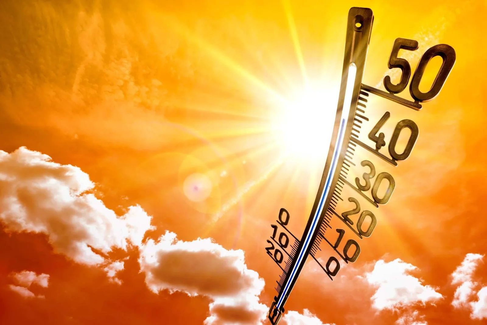 Las primeras señales de un golpe de calor que las familias no deberían pasar por alto este verano