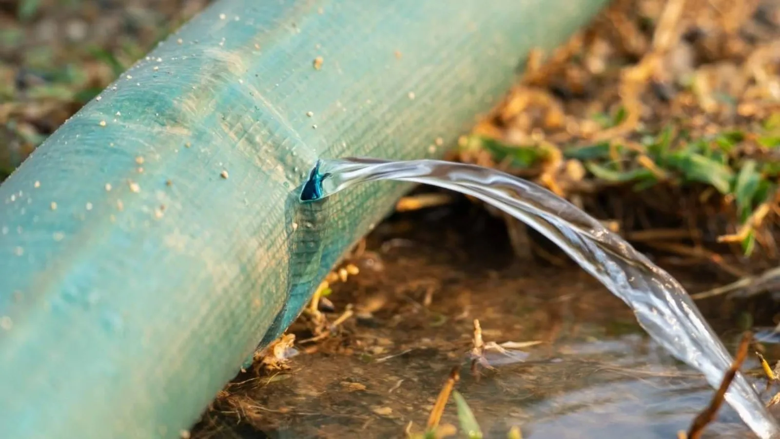 Fugas de agua en sistemas de riego; cómo detectarlas y ahorrar agua en verano